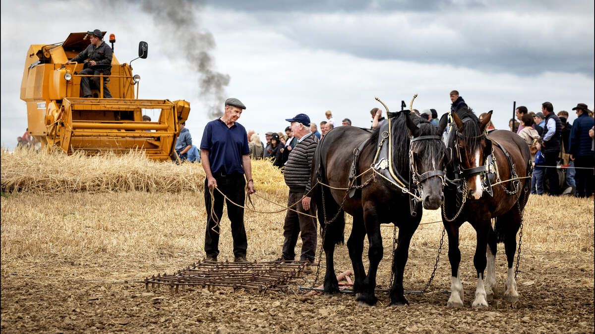 Knockbrige vintage day pays tribute to Grey Ferguson TVO 20