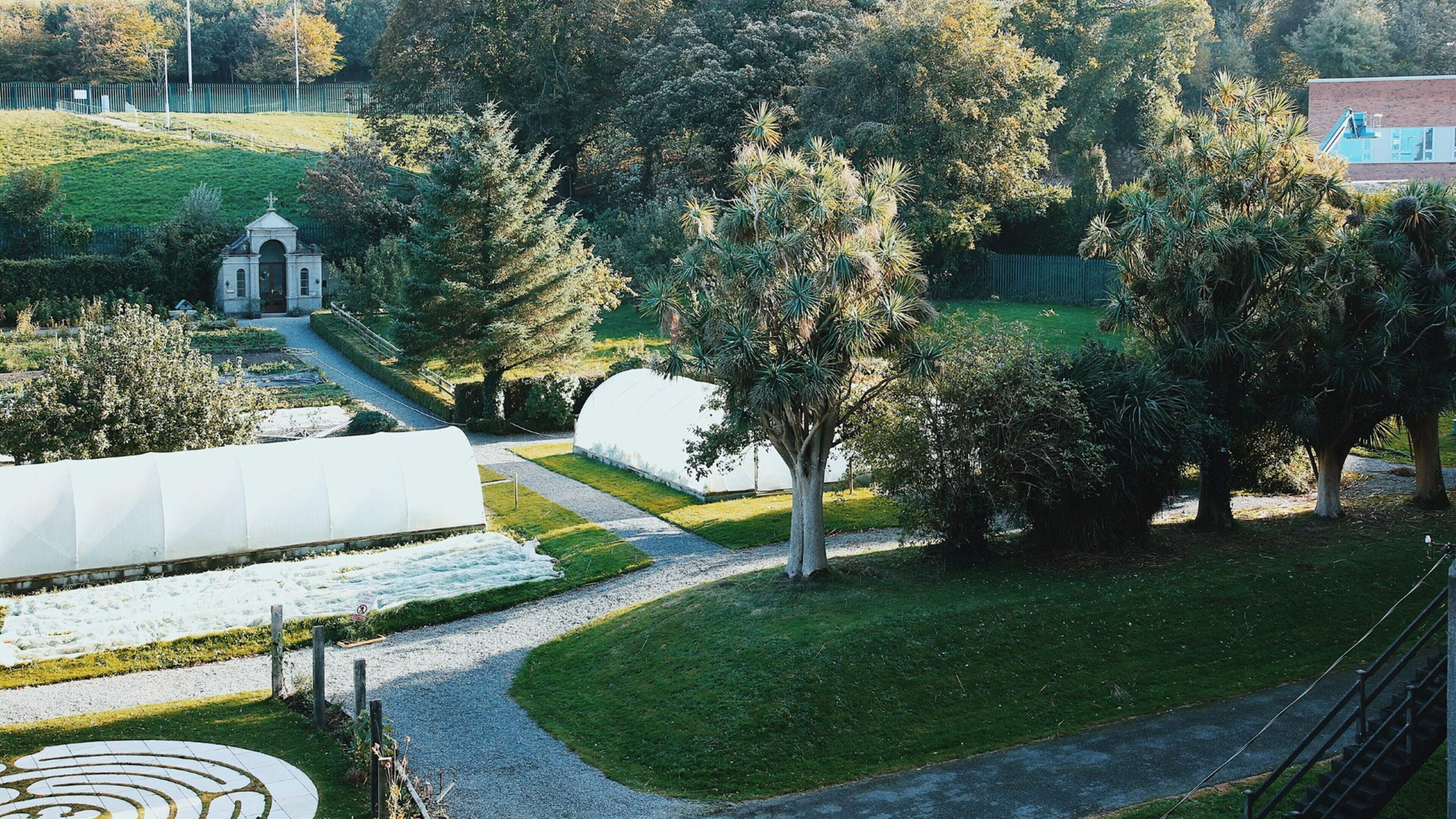 Digital detox trend comes to Wicklow as ecology centre hosts weekend break