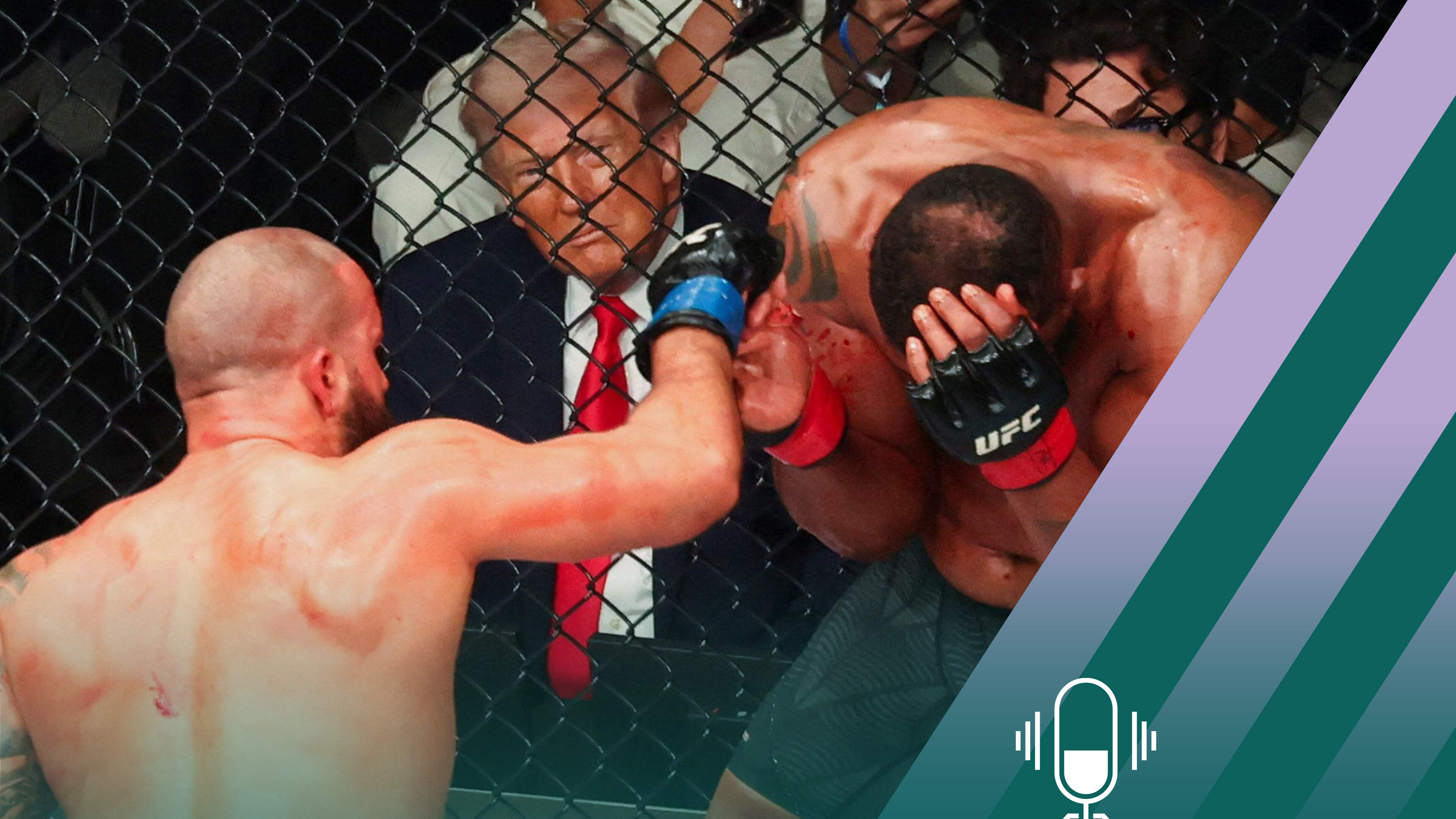 Brawl at the White House: What drives Donald Trump’s UFC obsession?