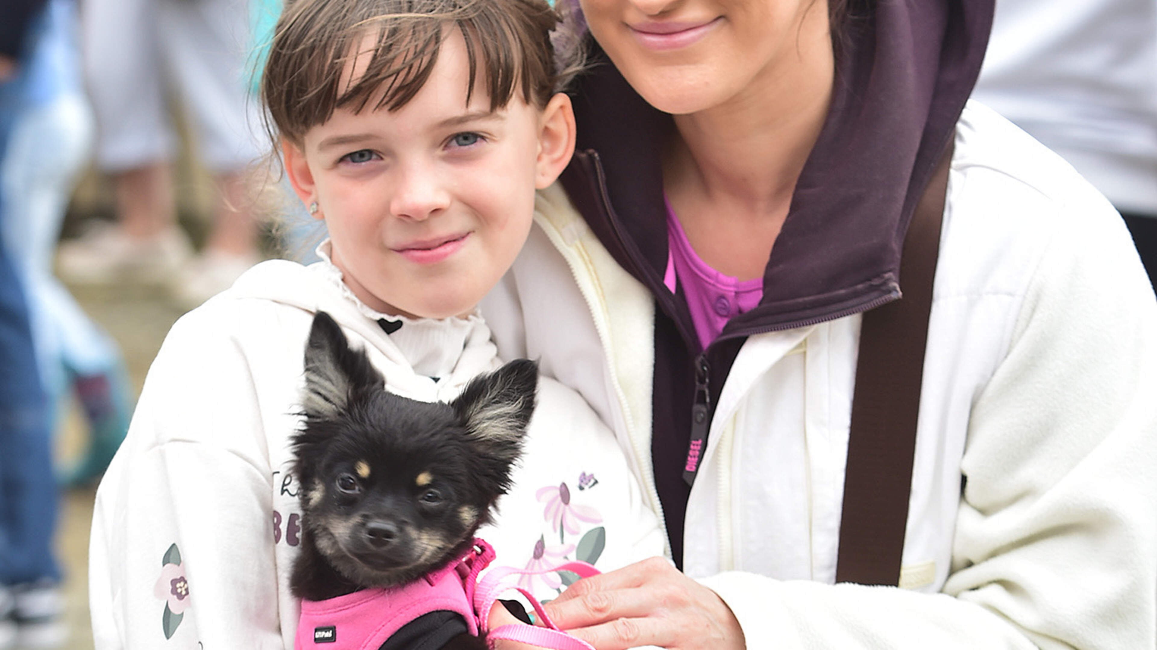 Around the Districts: Over the Water, Oylegate, Piercestown and Rathangan-Cleariestown