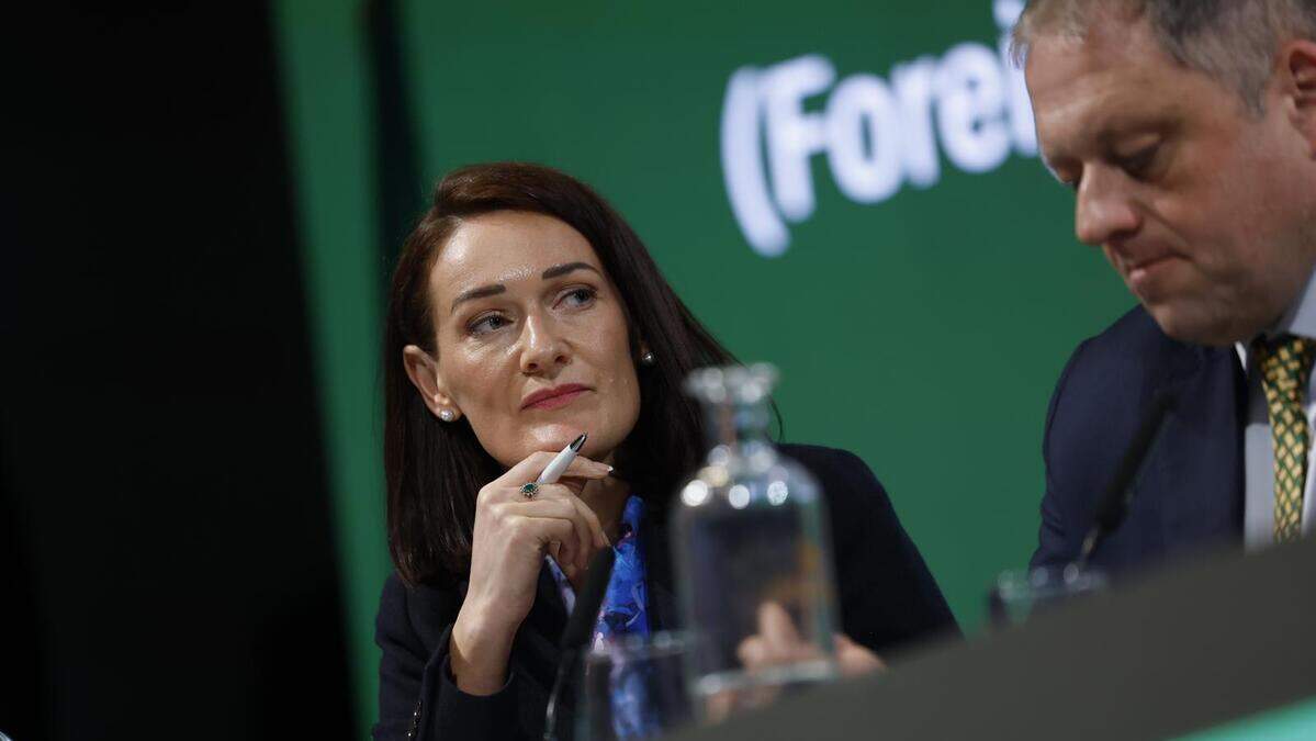 Europe must stand firm on Ukraine and Gaza urges Louth Deputy
