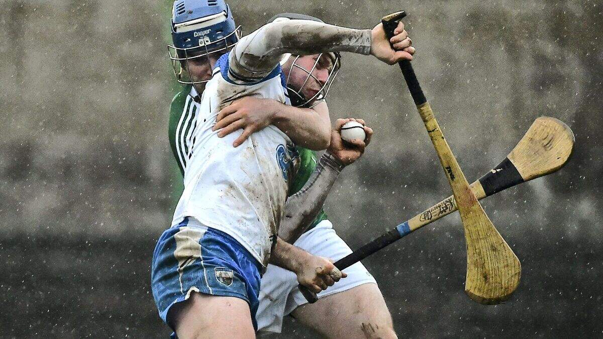 Limerick regroup to defeat Decies and set up UCC showdown | Irish ...