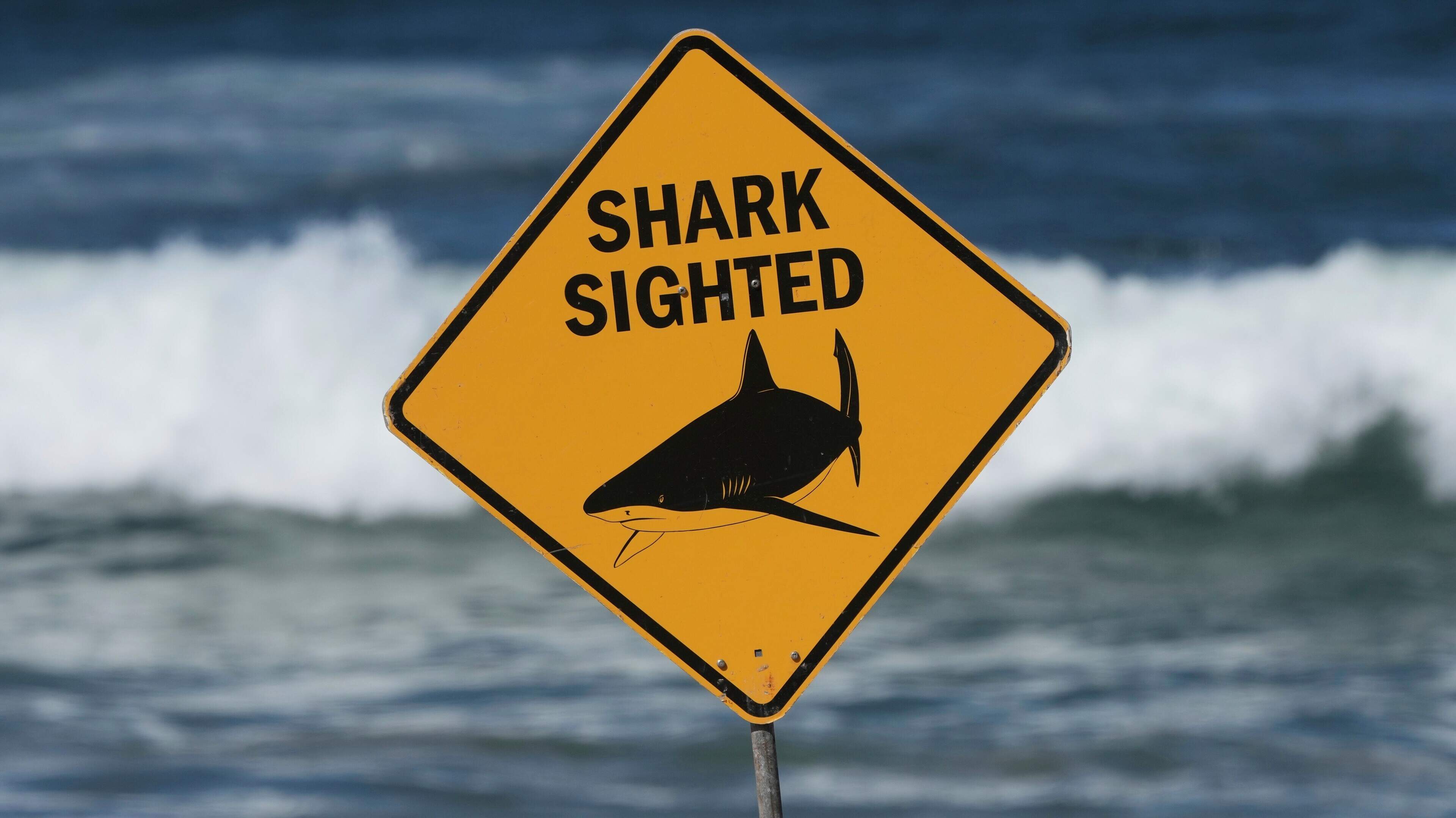 Swimmer killed in shark attack at popular Western Australia beach