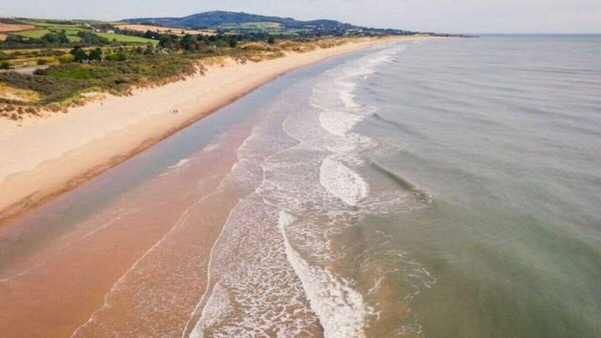 Wicklow's erosion prone coastline without targeted funding as new 3m biodiversity package bypasses dunes
