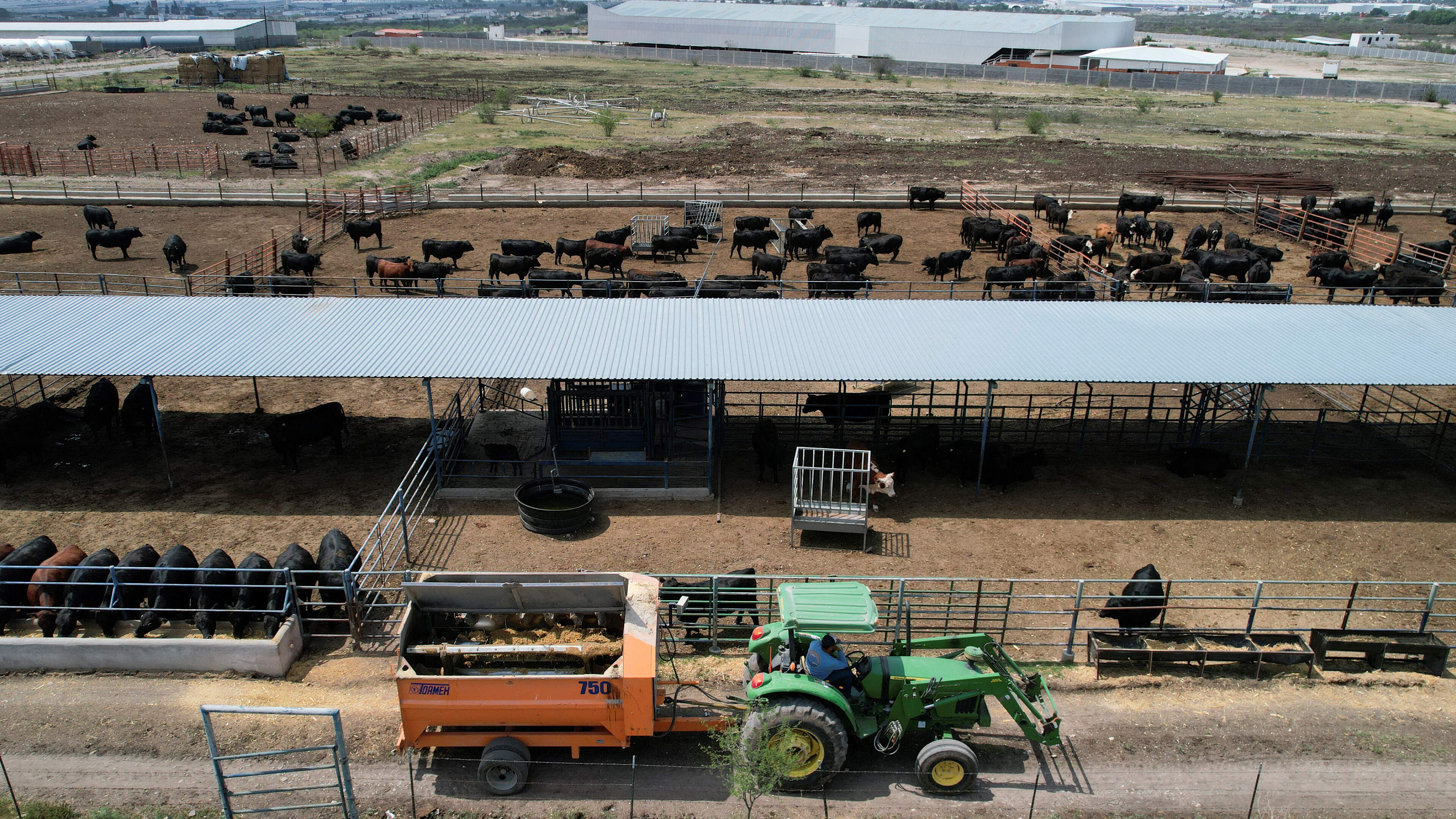 US beef prices hit record in May as screwworm impact still l