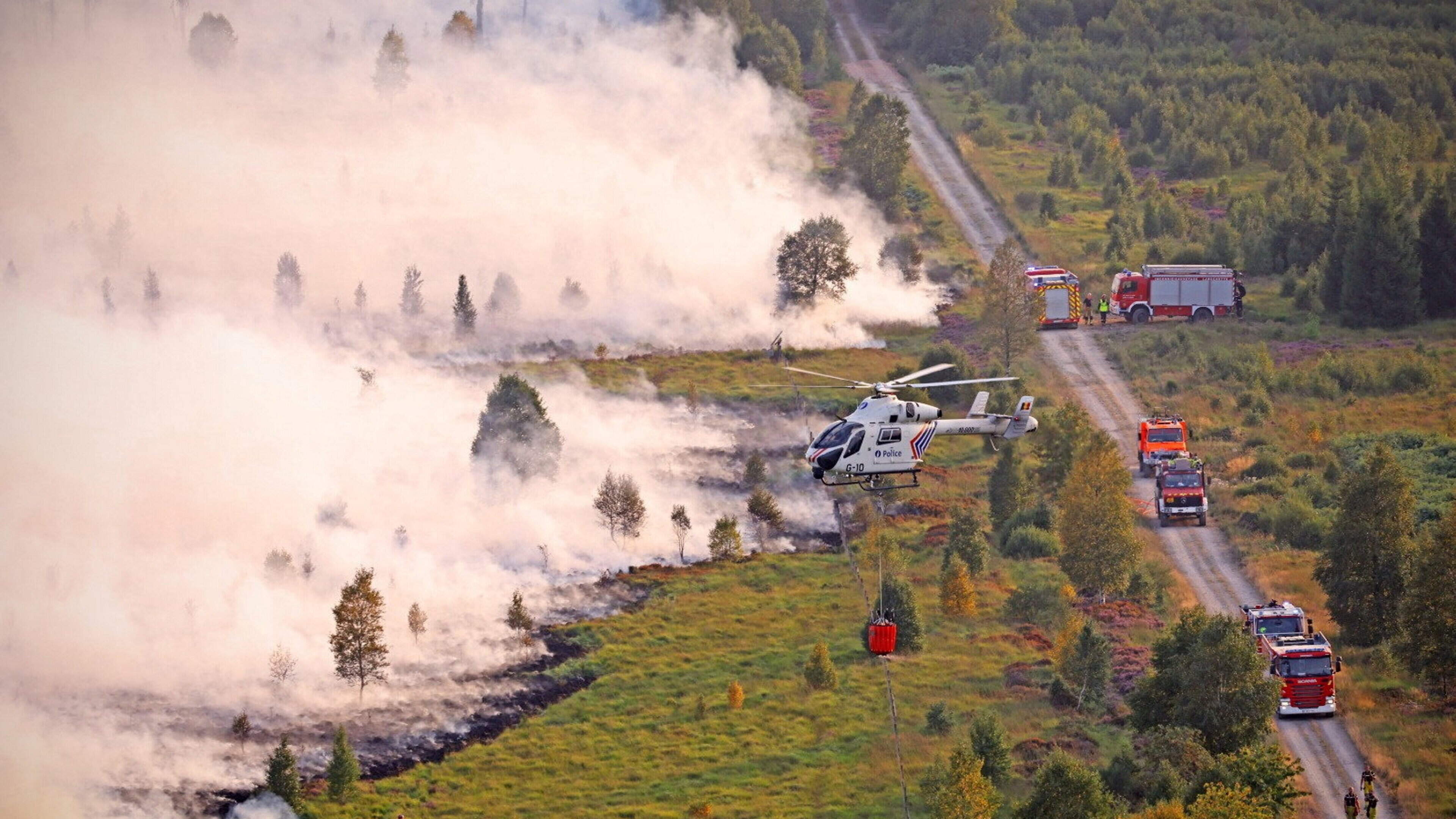 Rain provides some relief in struggle to contain huge wildfire in Belgium