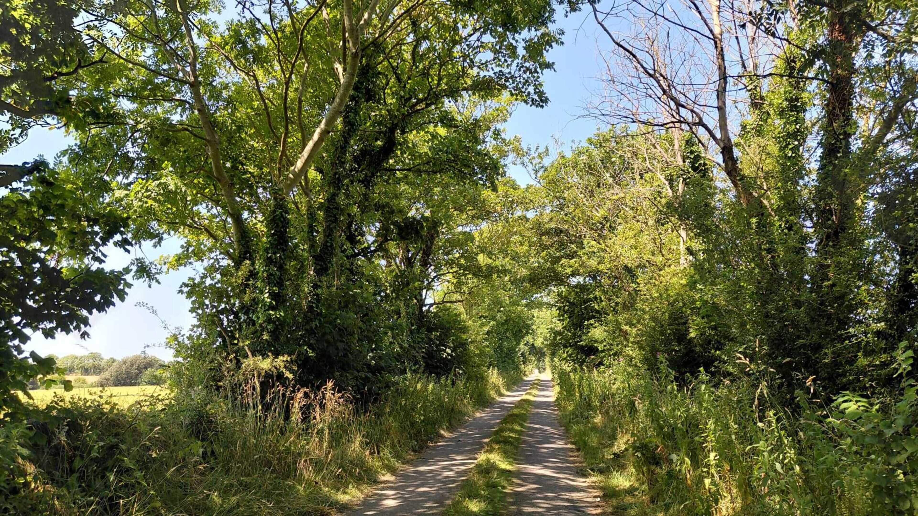 Kerry councillors call for improved road upkeep as ‘huge’ attraction to open next month 