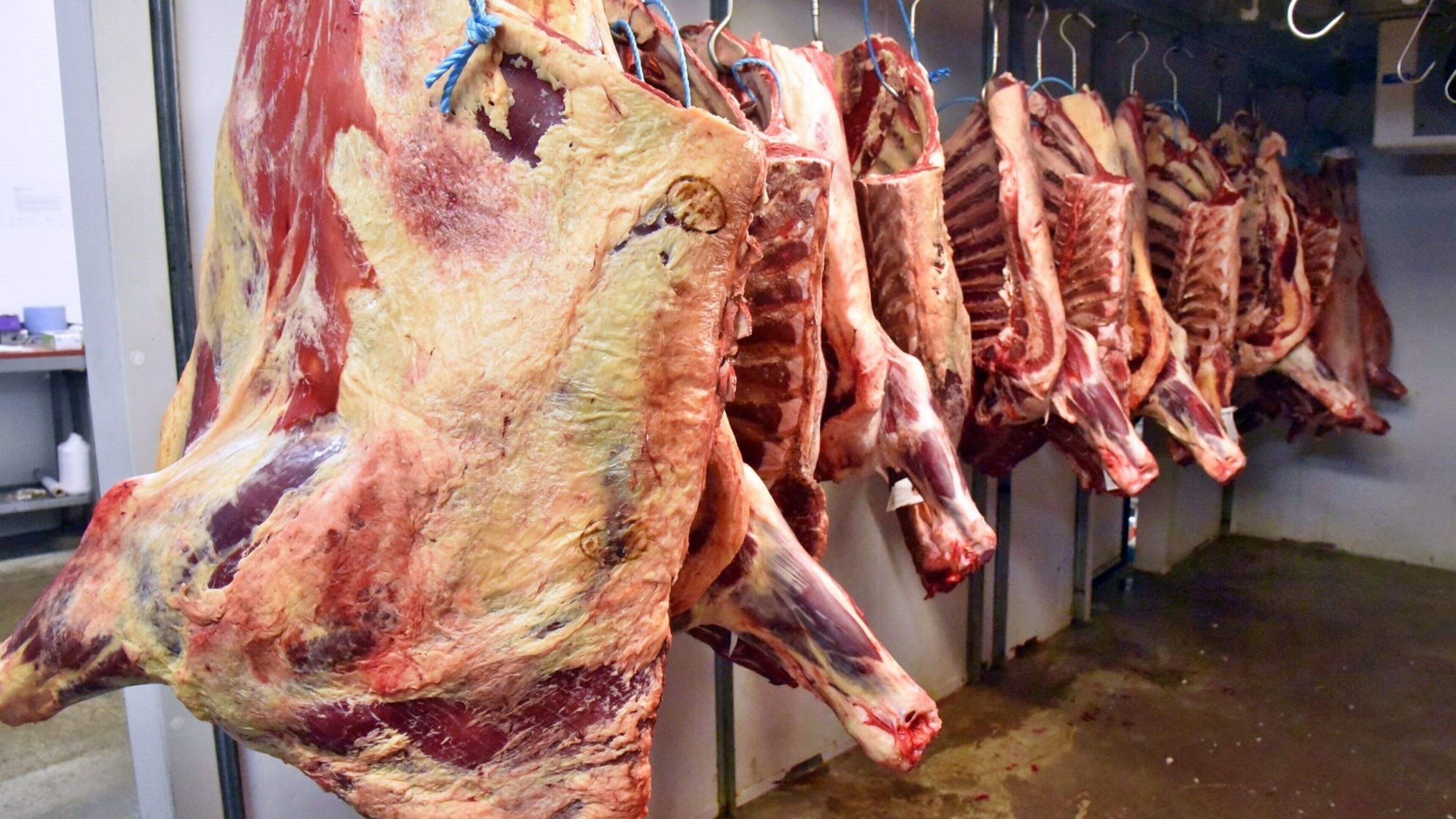 Beef ‘an ingredient rather than a centrepiece’ on menus in the UK