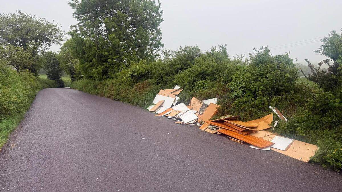 Piles of timber, broken doors and mirrors dumped on country road in West Cork