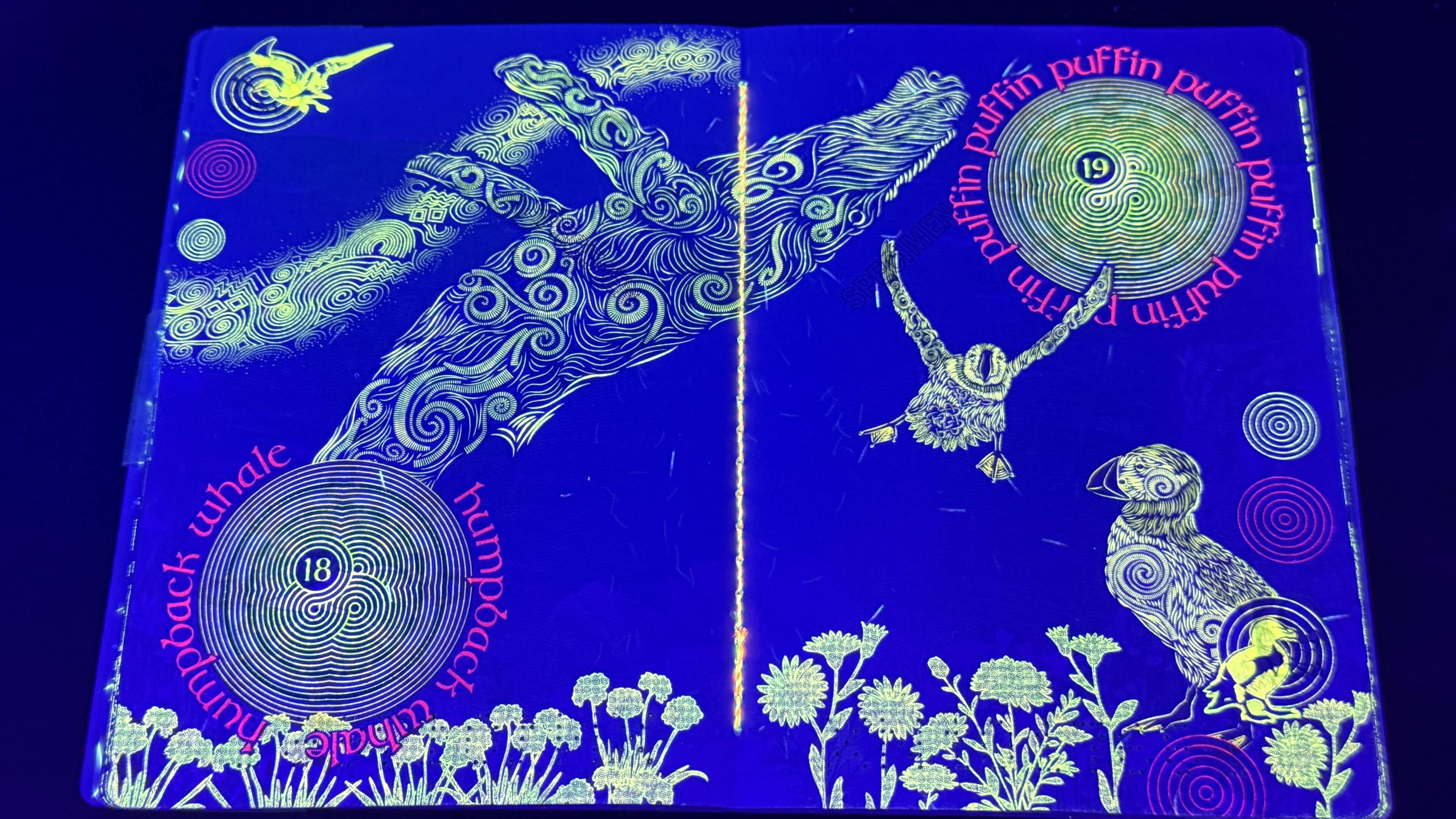 First Look: Ireland's new passport is ‘like a completely different book under UV light’