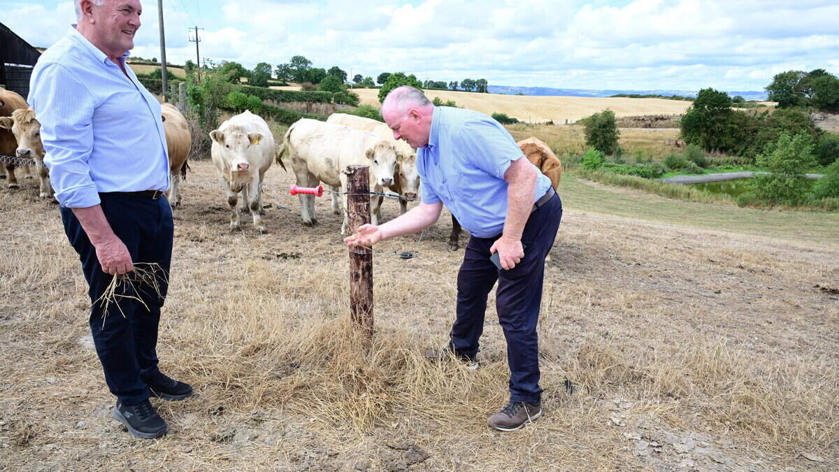 Calls grow for fertiliser relief as fodder shortage looms