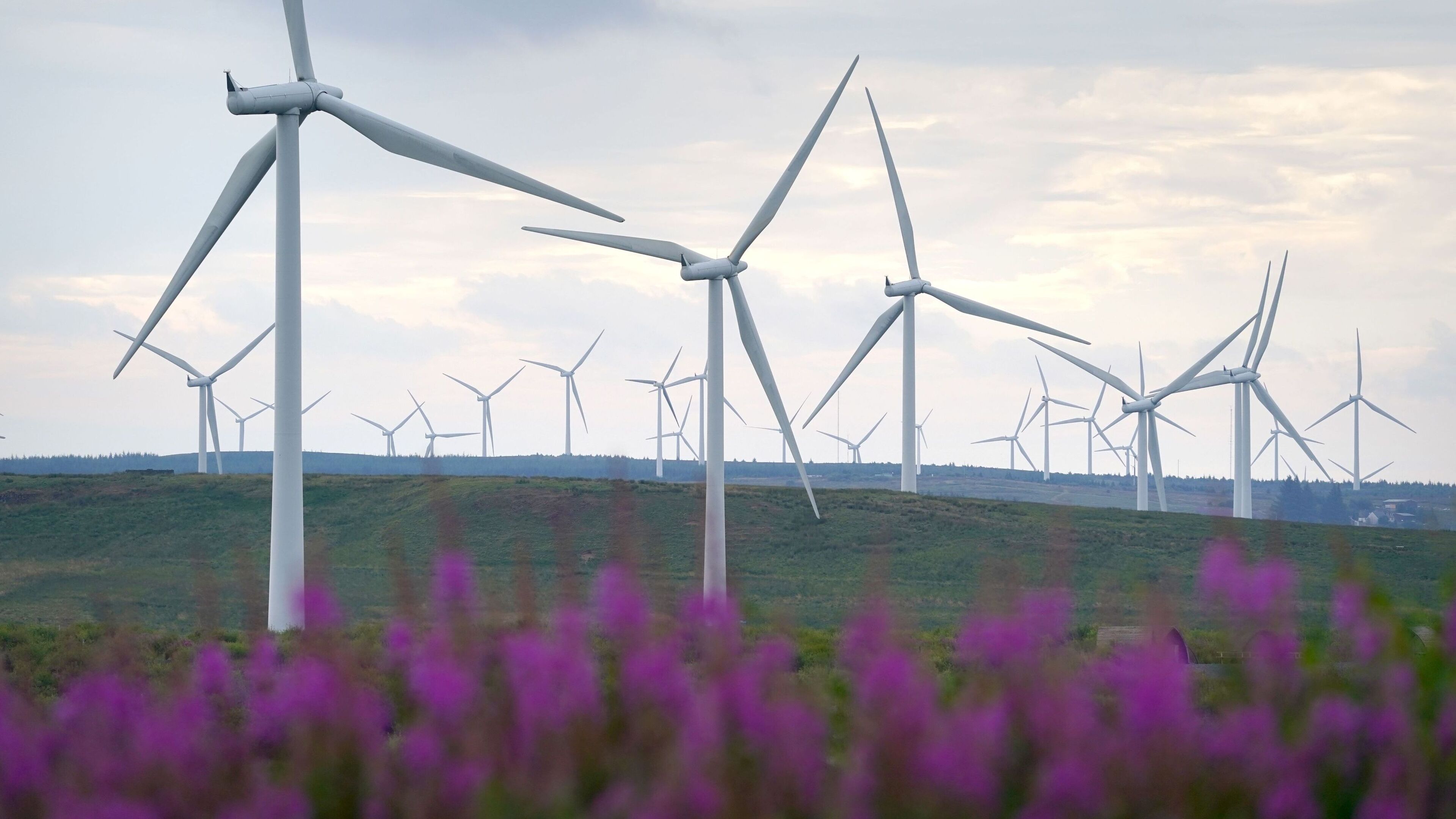 Wind Energy Ireland warns of ‘massive backlog’ as 48 projects await planning decisions