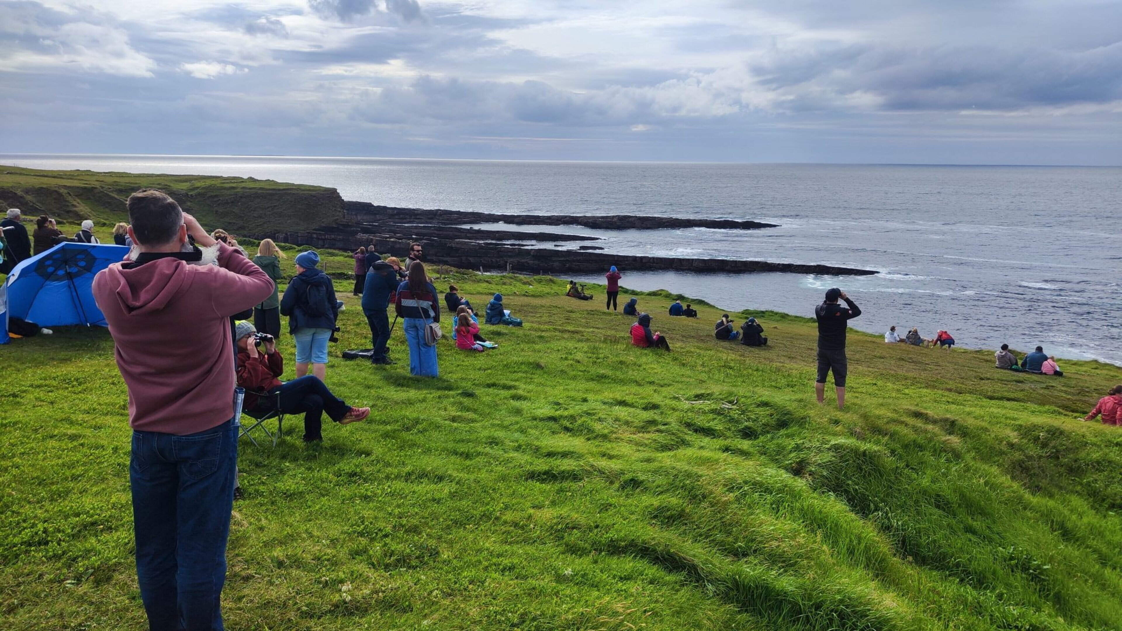Woodland bats, invasive species and dunes at Killaspugbrone among Sligo projects backed by Local Biodiversity Action Fund