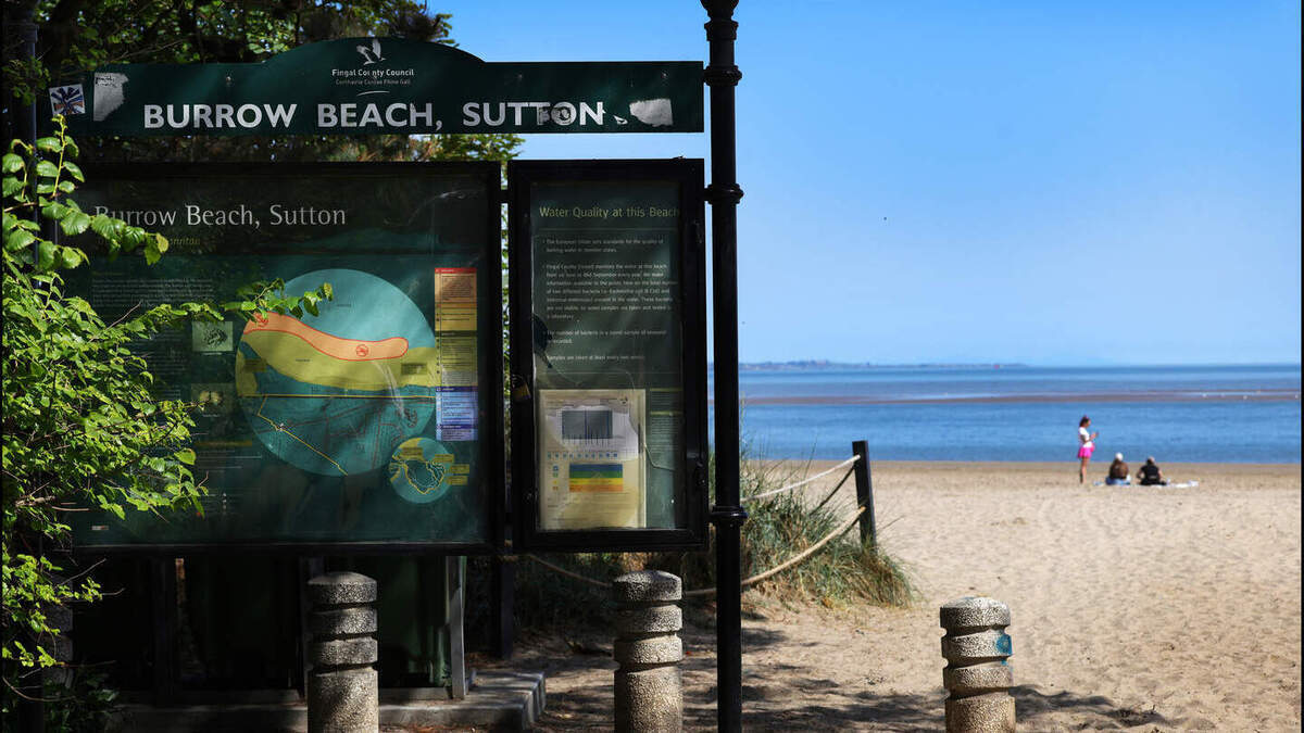 Calls to extend lifeguard season at Dublin beach after death of teen