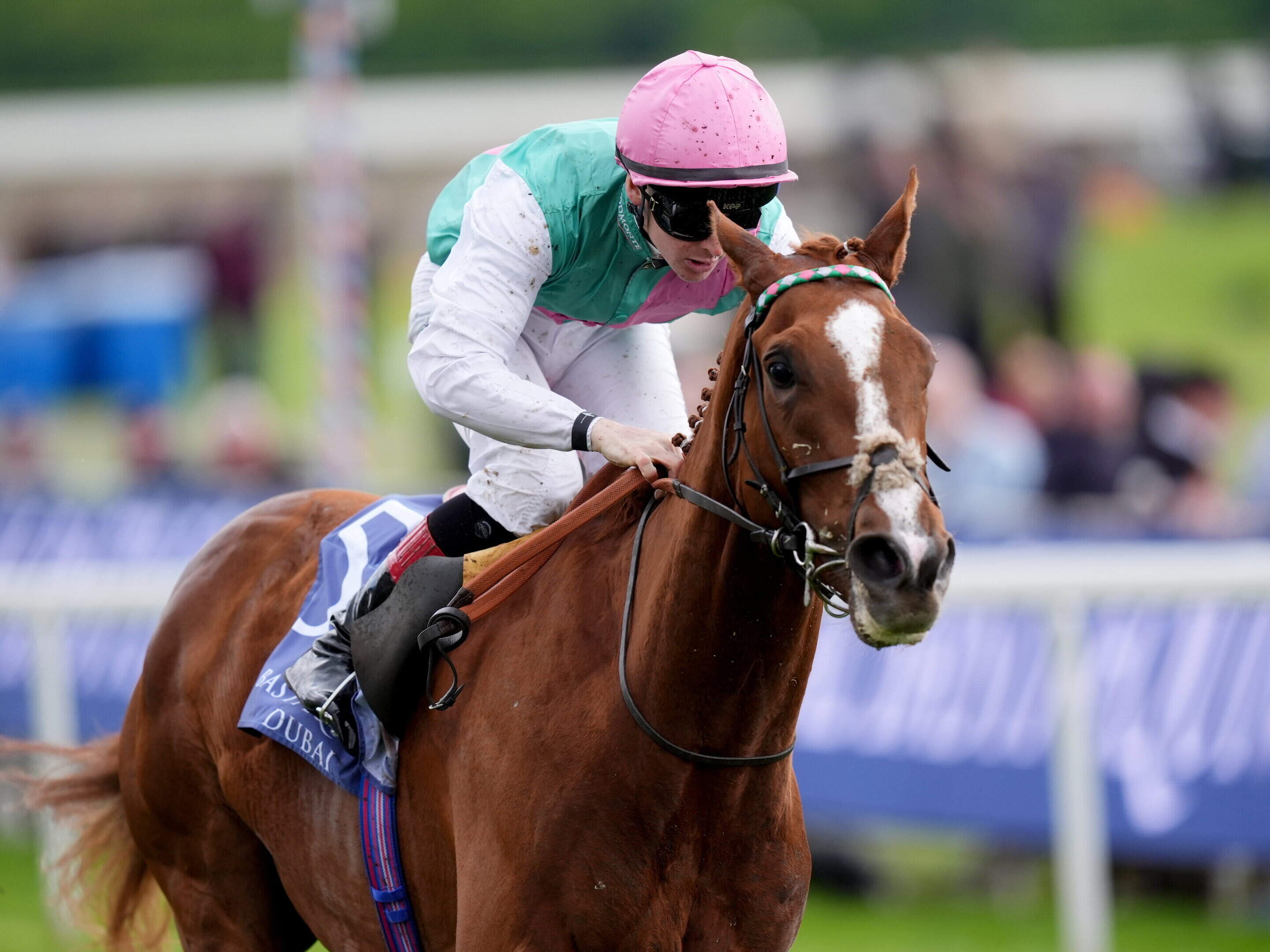 Moscow seeks 20th chase win | Irish Independent