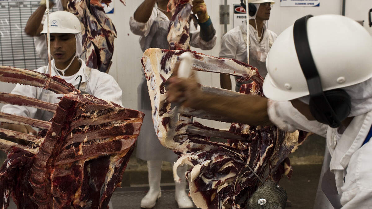 Brazil races to safeguard €1.6bn of meat exports to EU