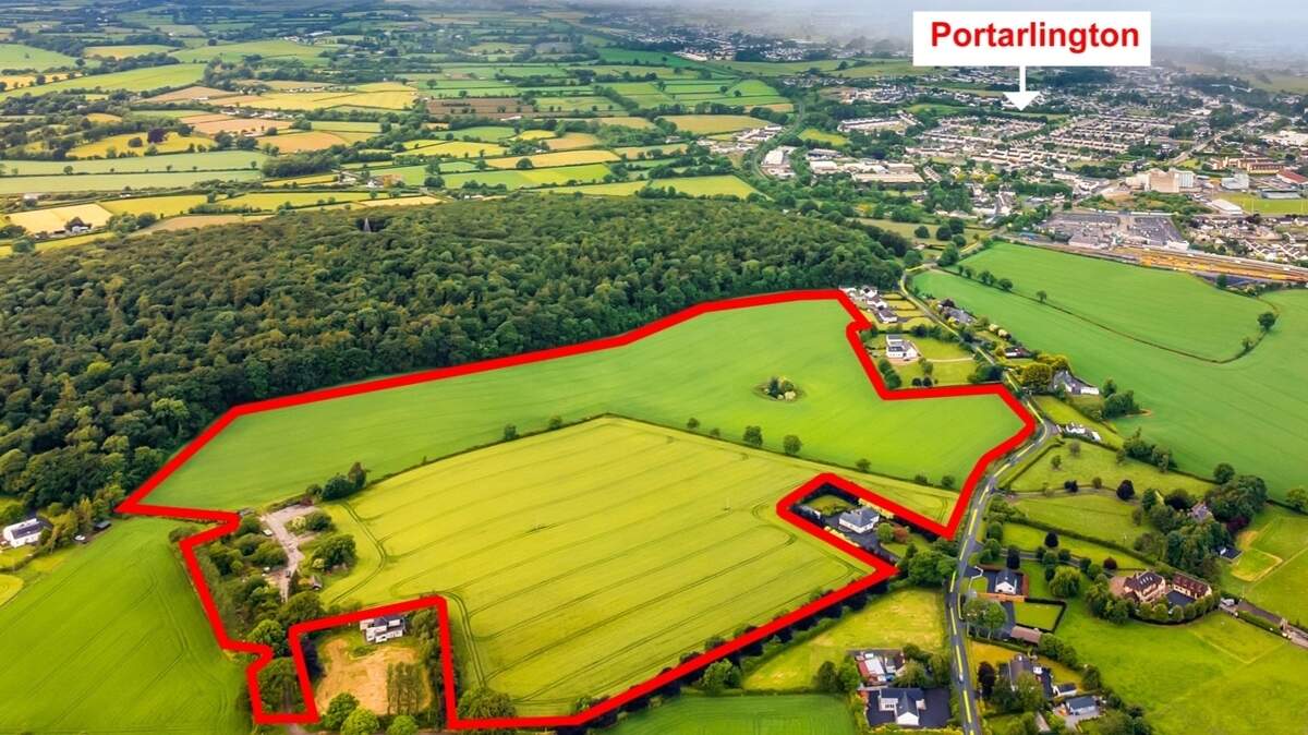 40ac Laois farm exceeds guide by 77pc with €22,000/ac sale