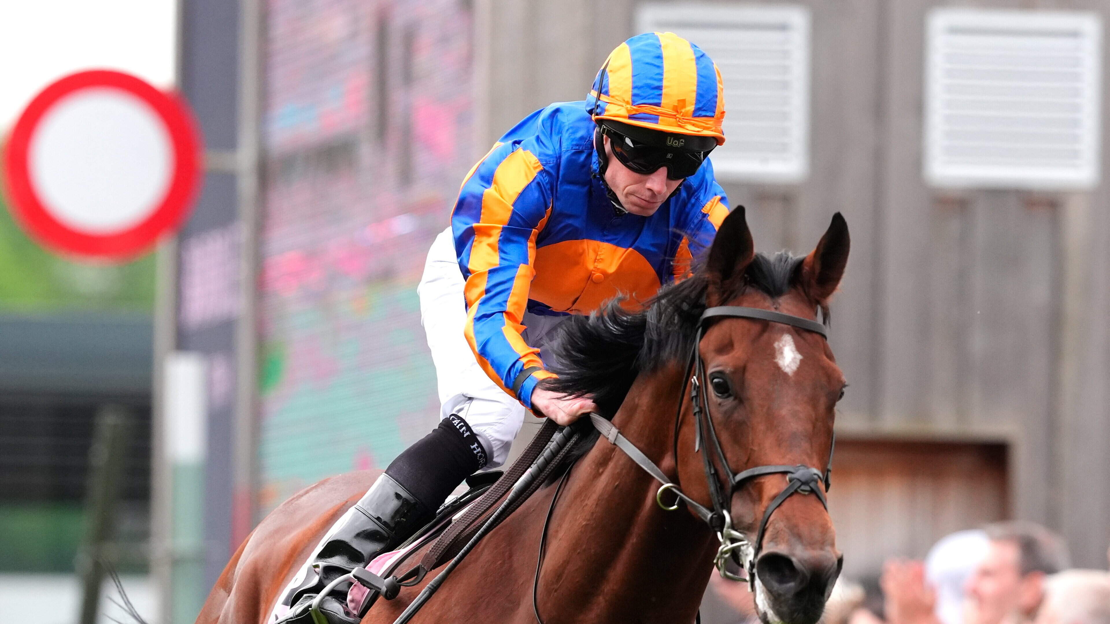 Ombudsman and Constitution River remain on course for a titanic clash in next week’s York showpiece