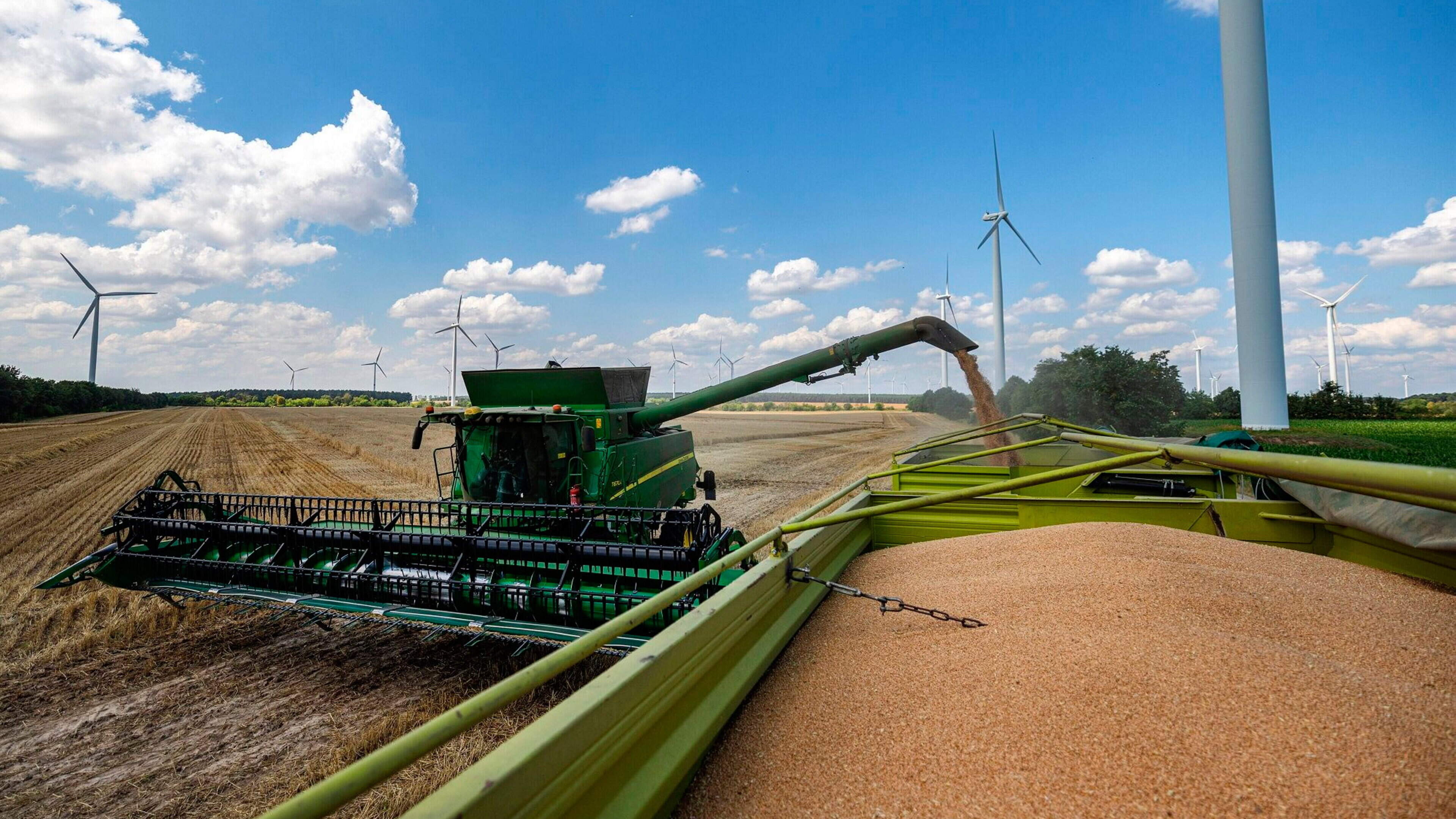 EU Study Warns Pesticide Import Curbs Risk Lifting Food Prices