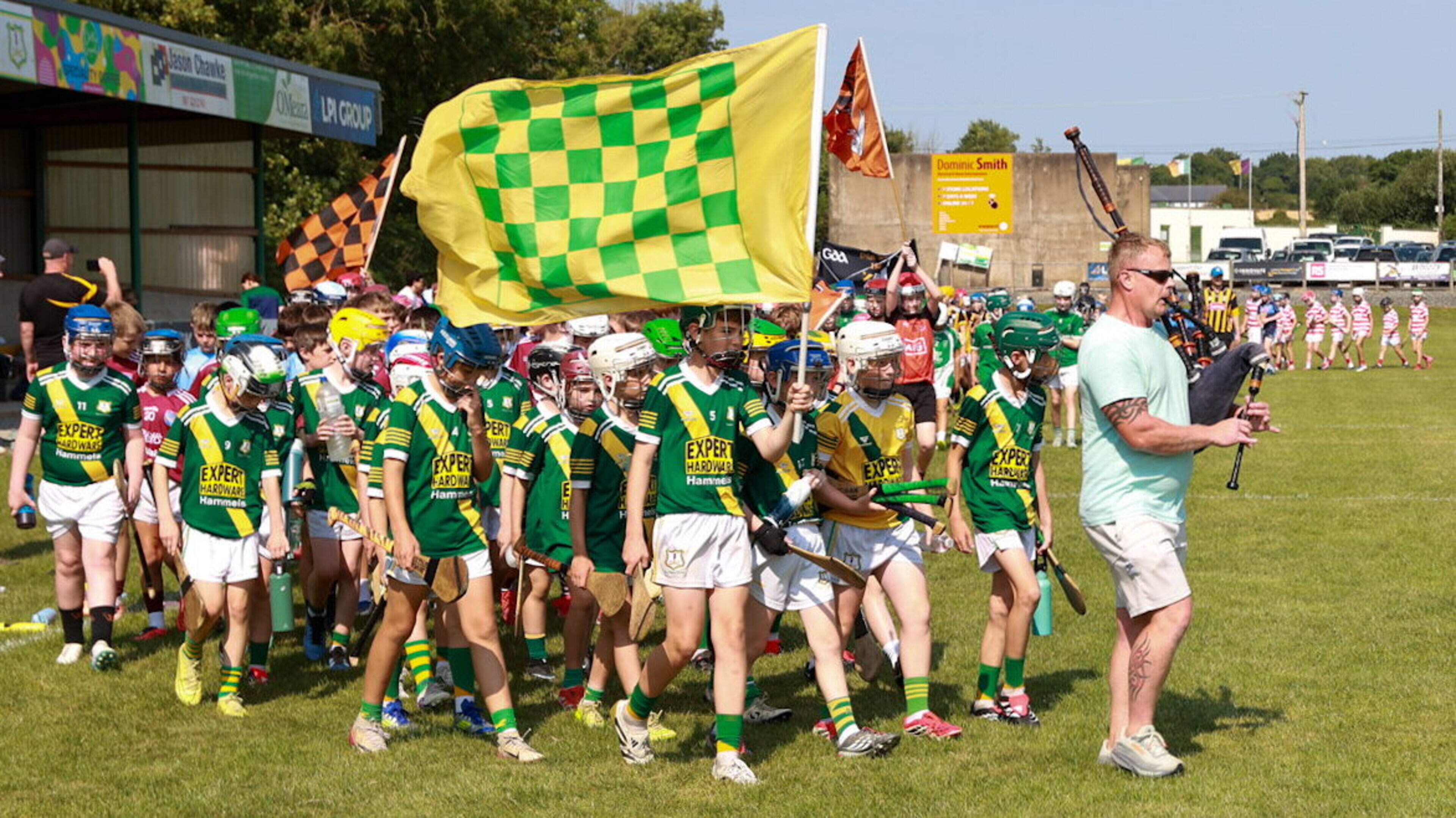 Wexford GAA clubs assemble for annual memorial hurling tournament to honour late stalwart