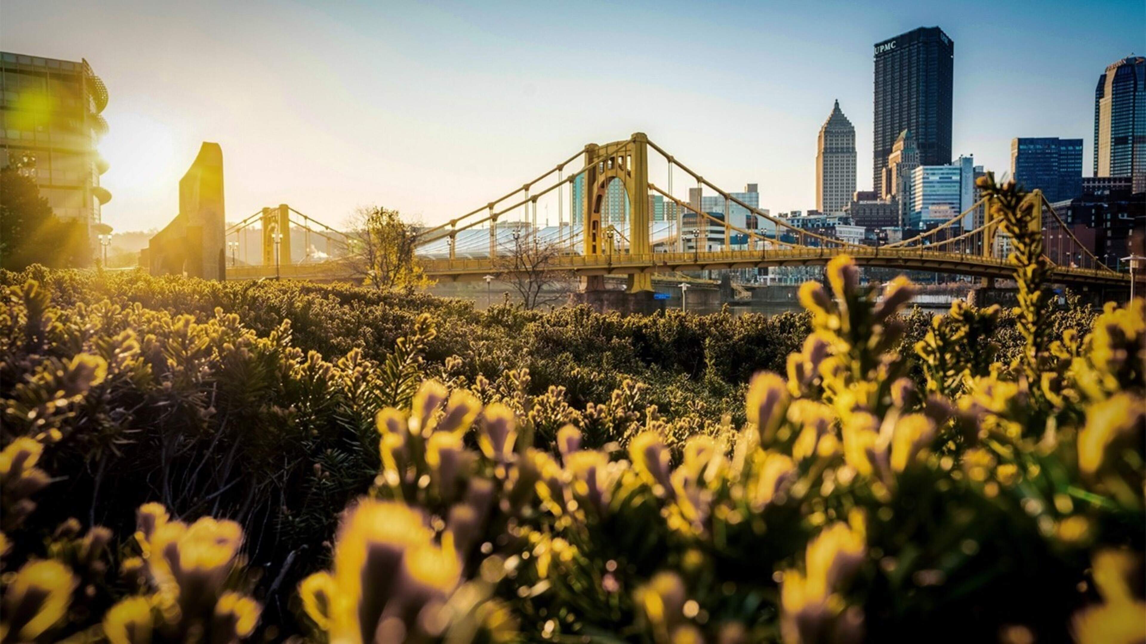 Forge your own path: Discover this alternative American city directly from Dublin