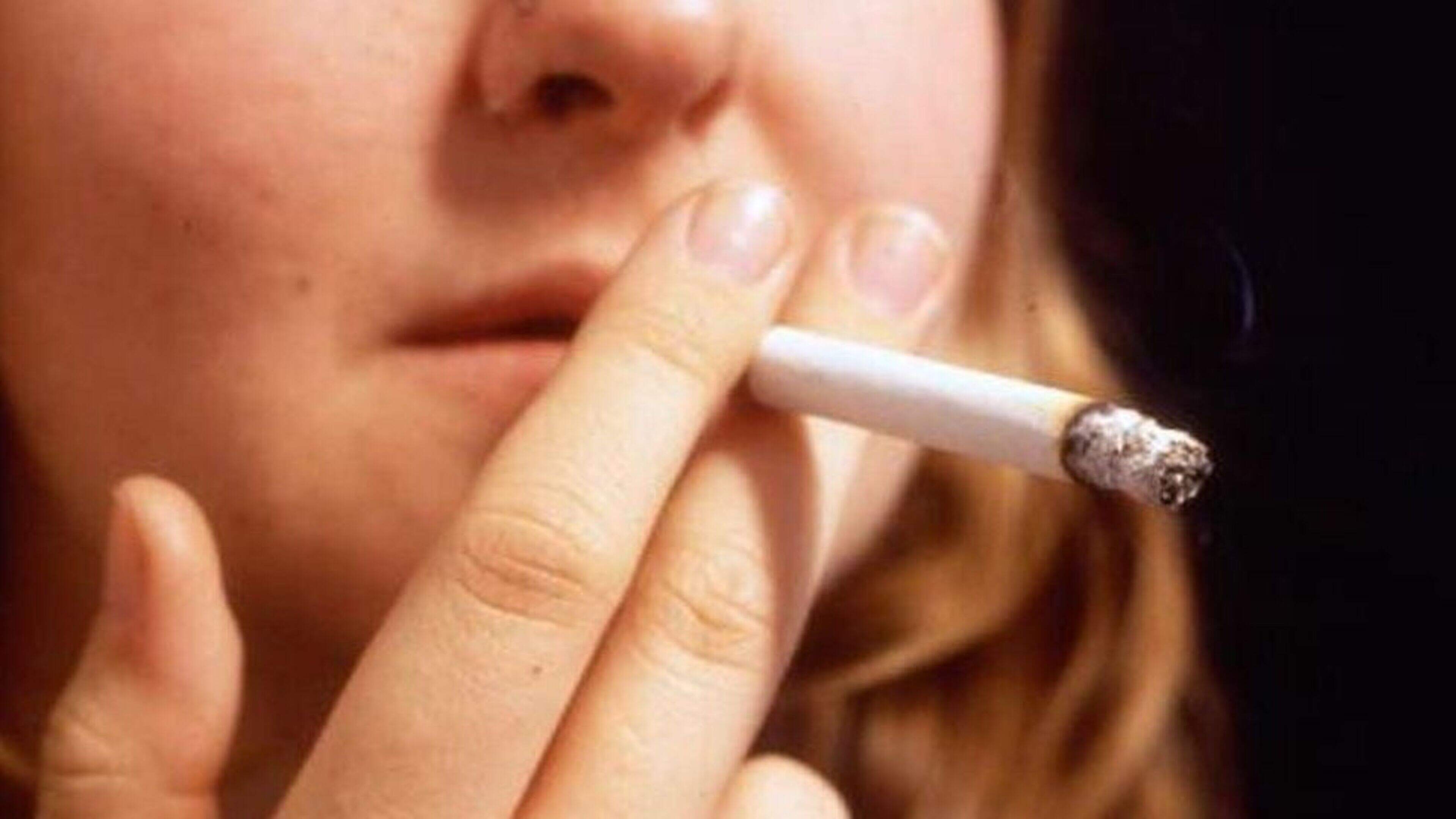 is tobacco plant bad for you Tobacco's hidden friendly side: How the controversial plant could be used  for good
