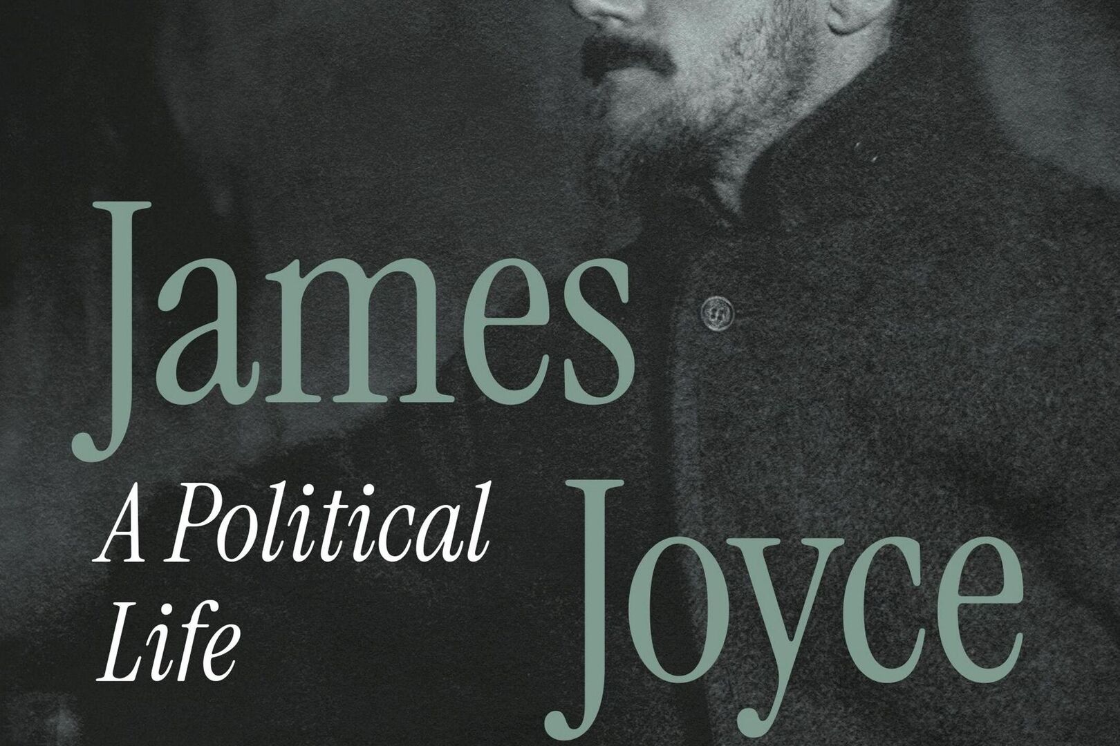 James Joyce – A Political Life review: Frank Callanan eloquently ...