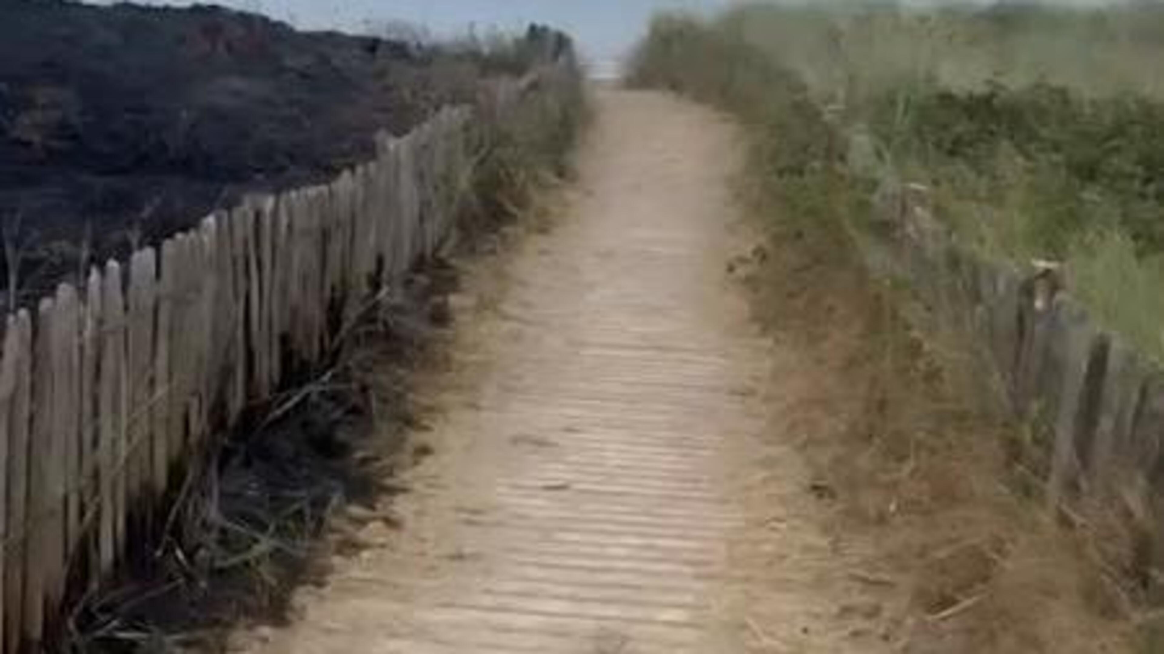 Calls for new Garda station after damage to Bettystown dunes and public areas