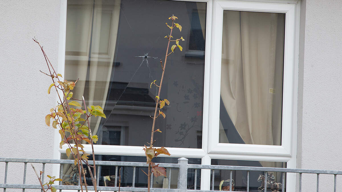 Wexford gardai move to reassure public amid rumours of second shooting incident in a week