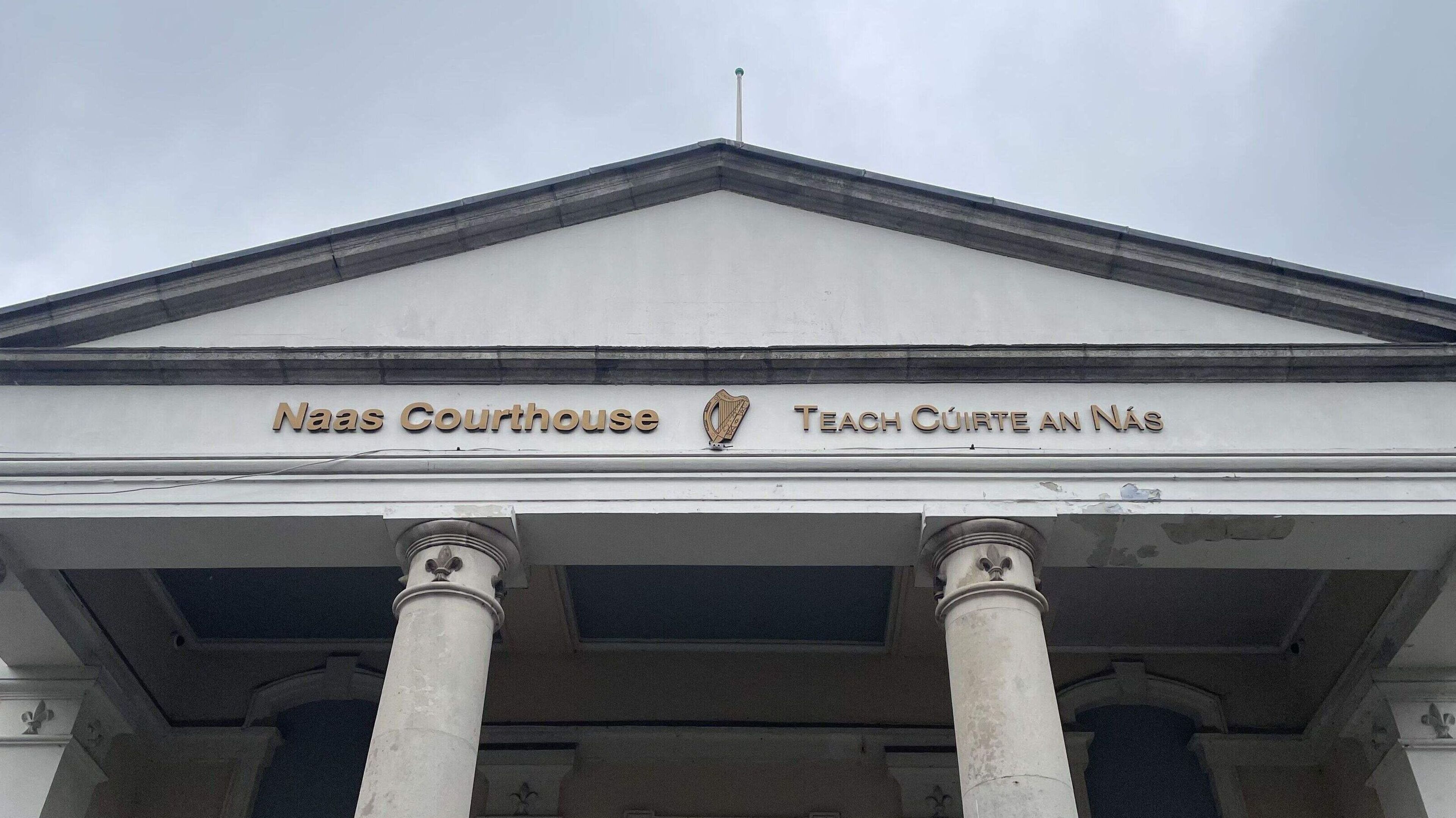 Man accused of hit-and-run causing death of Kildare teen told gardaí damage to his van was caused by a deer, trial hears
