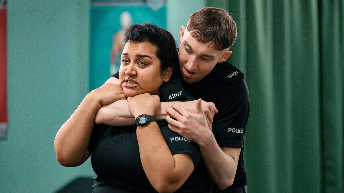 Piglets review: The police needn’t have got upset over the title – this ...
