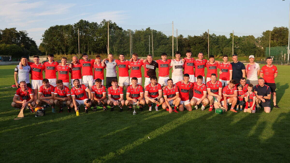 Cork Hurling League Division 4 Final: Kilworth power past Aghabullogue