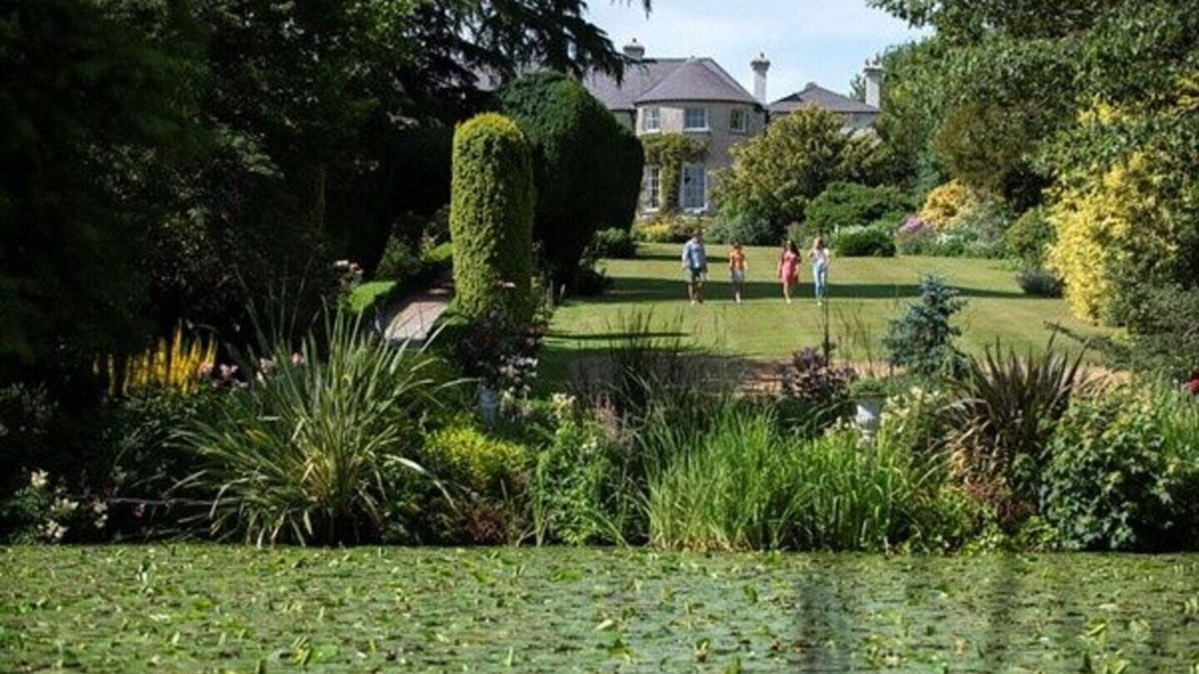 June bank holiday in Carlow: From festivals to horse shows - here are our top things to do