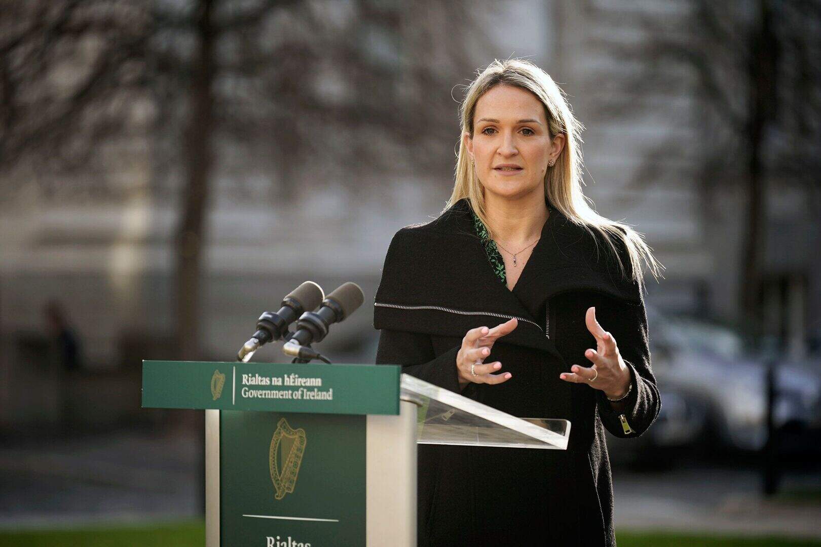 Helen McEntee to announce more measures to encourage teachers abroad to ...