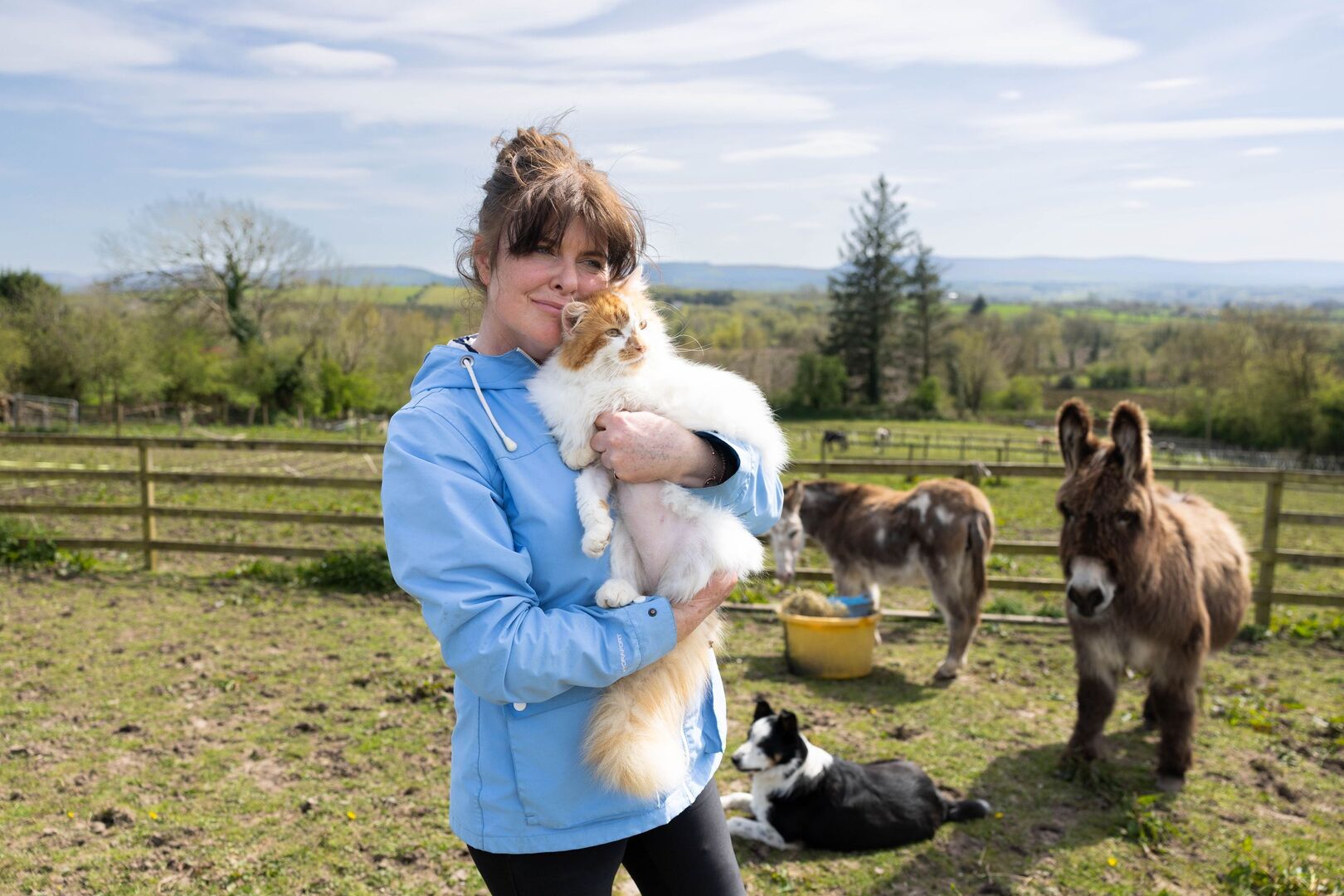 'These people would go to mass and yet watch a beautiful pony starve to ...