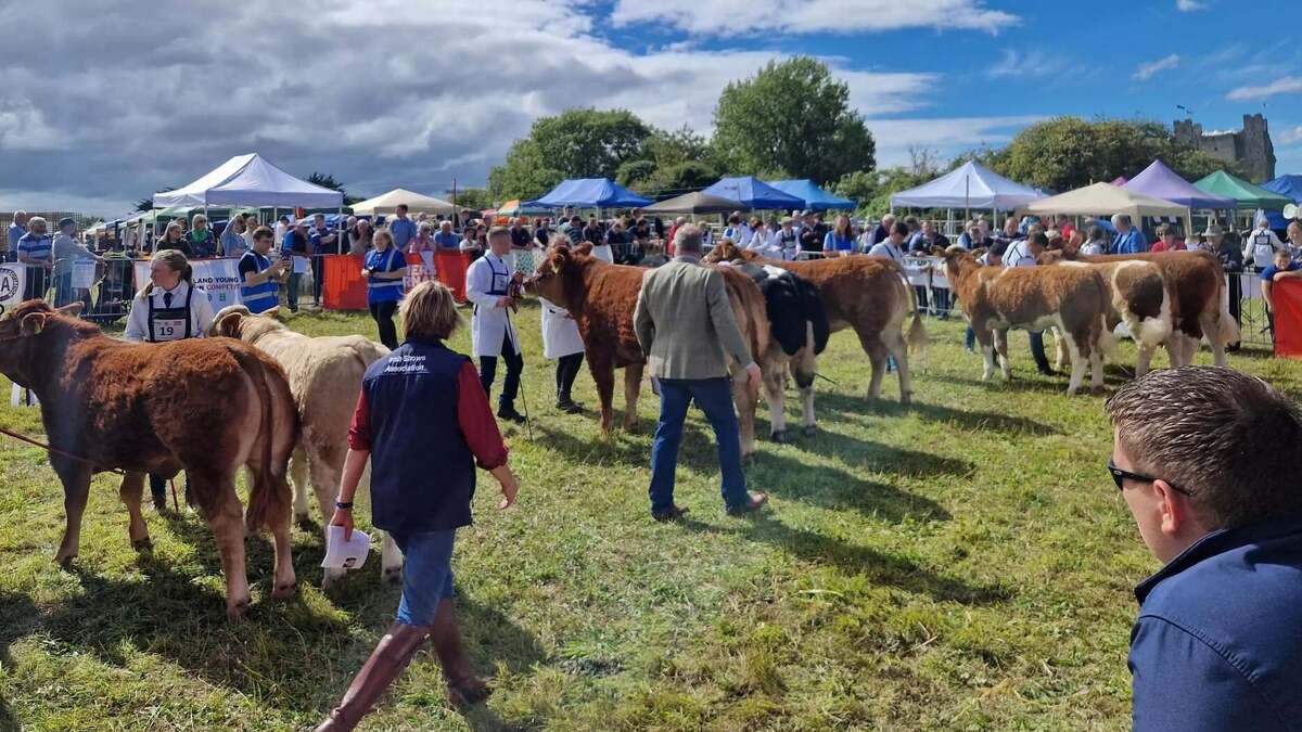 Royal Meath Show returns to Trim with family fun, livestock contests ...