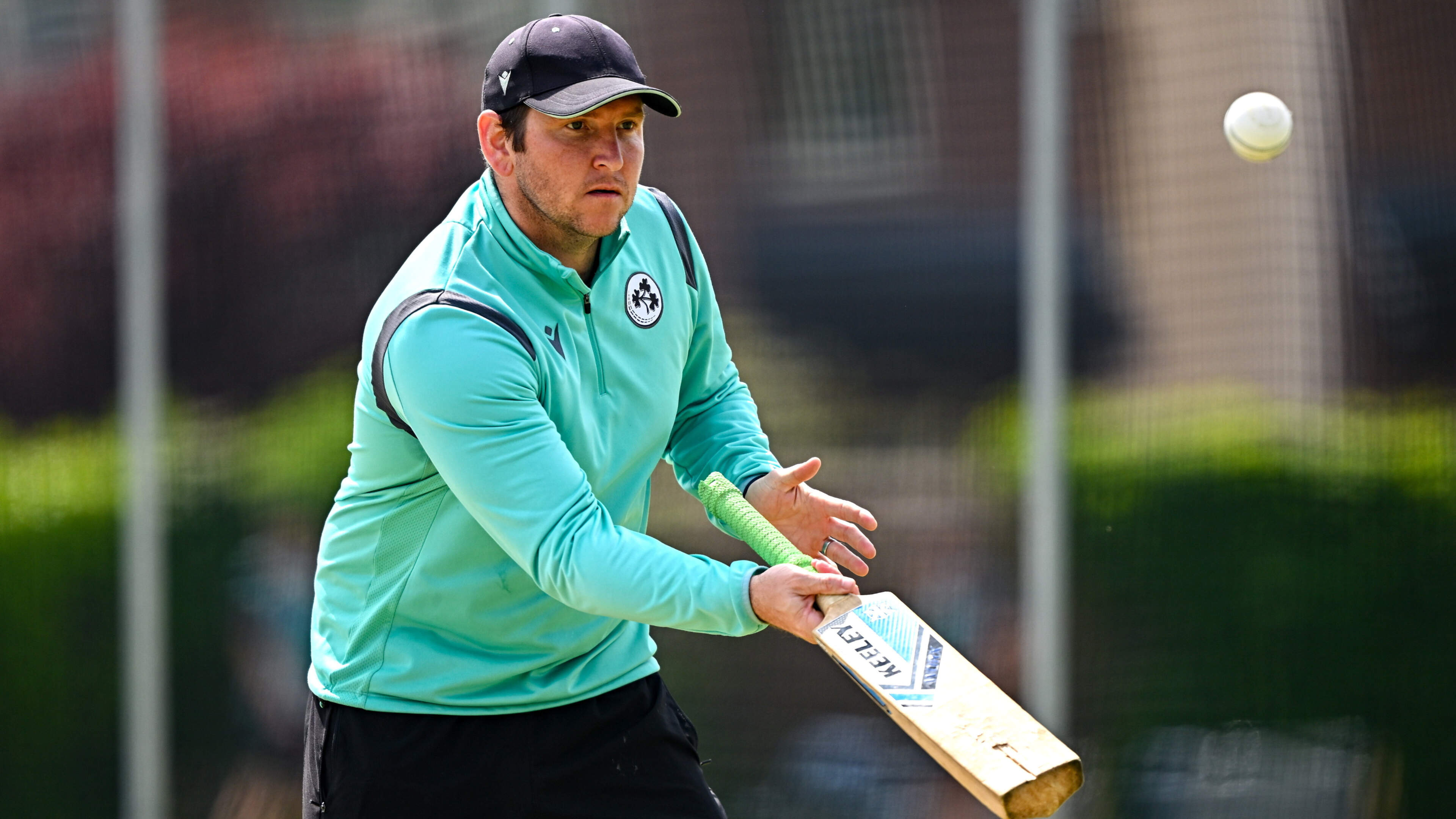 Gary Wilson to realise Ireland coaching dream as protests loom over Afghanistan ODI