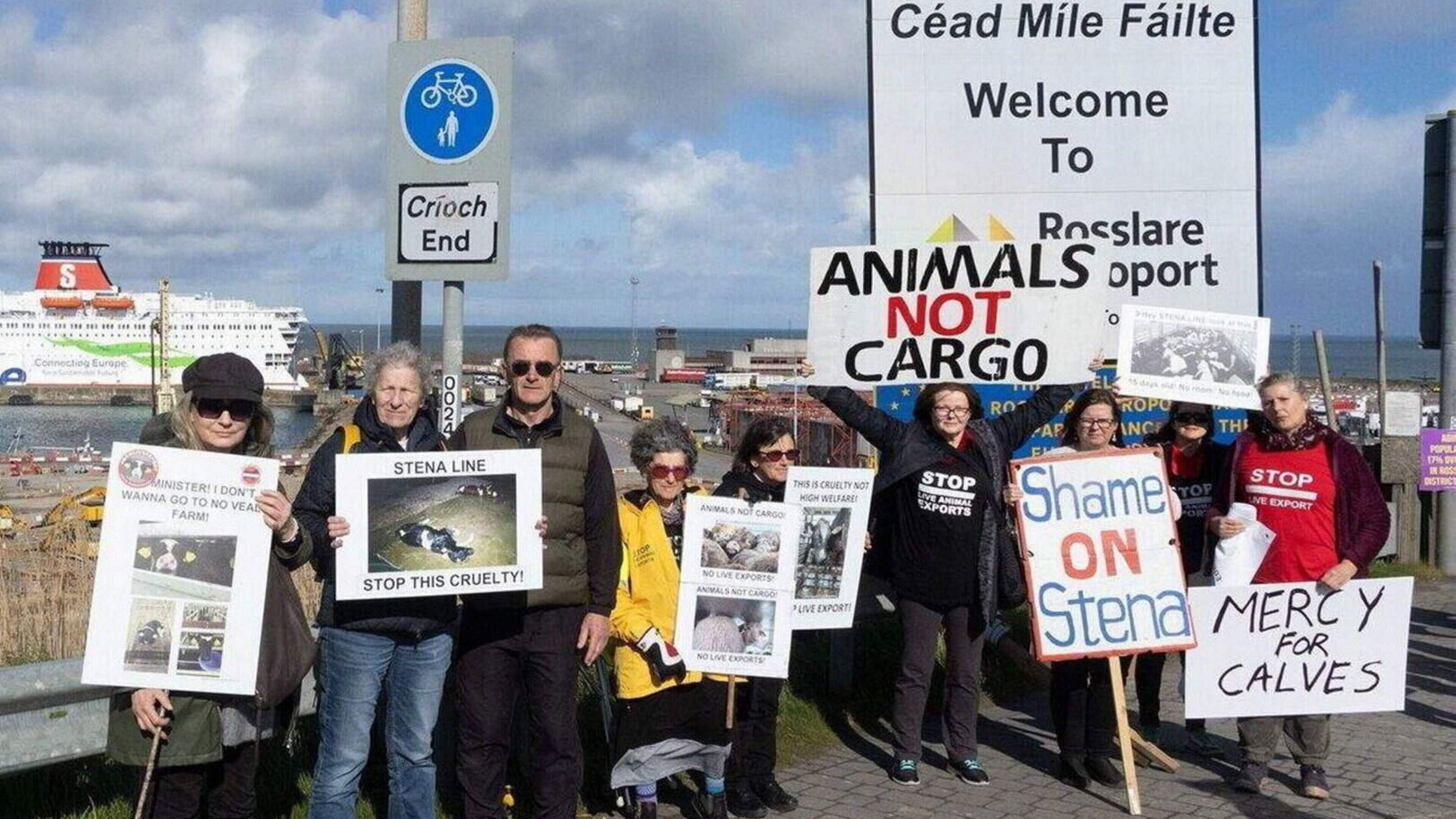 Letters: Brittany Ferries’ move to end livestock transport a win for animal welfare