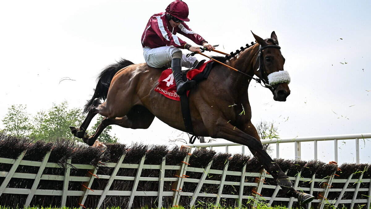 Michael Verney: Martin the man to follow again with fifth Galway Hurdle in his sights
