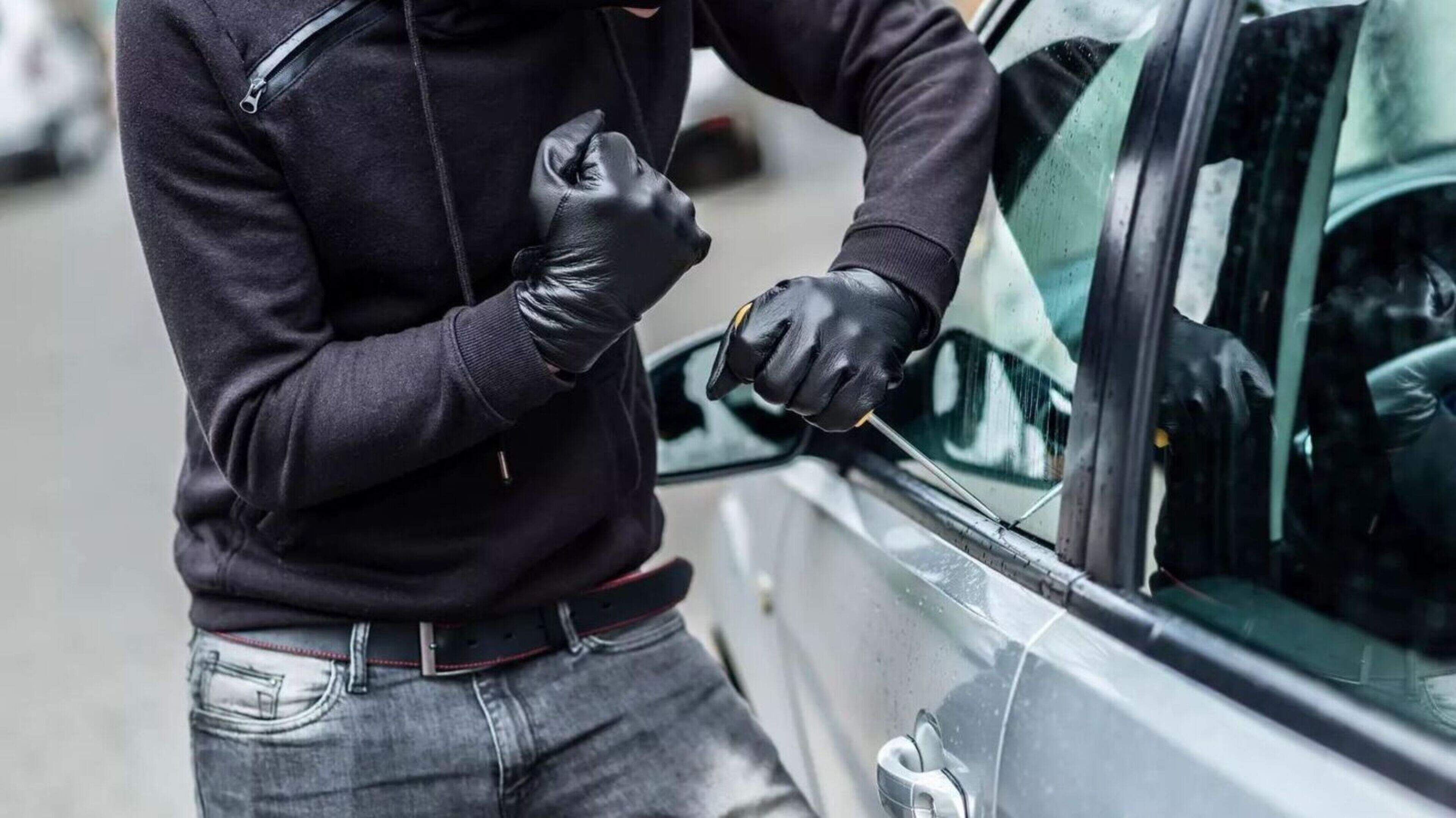 Fifteen car break-ins at Louth forest park prompt CCTV calls