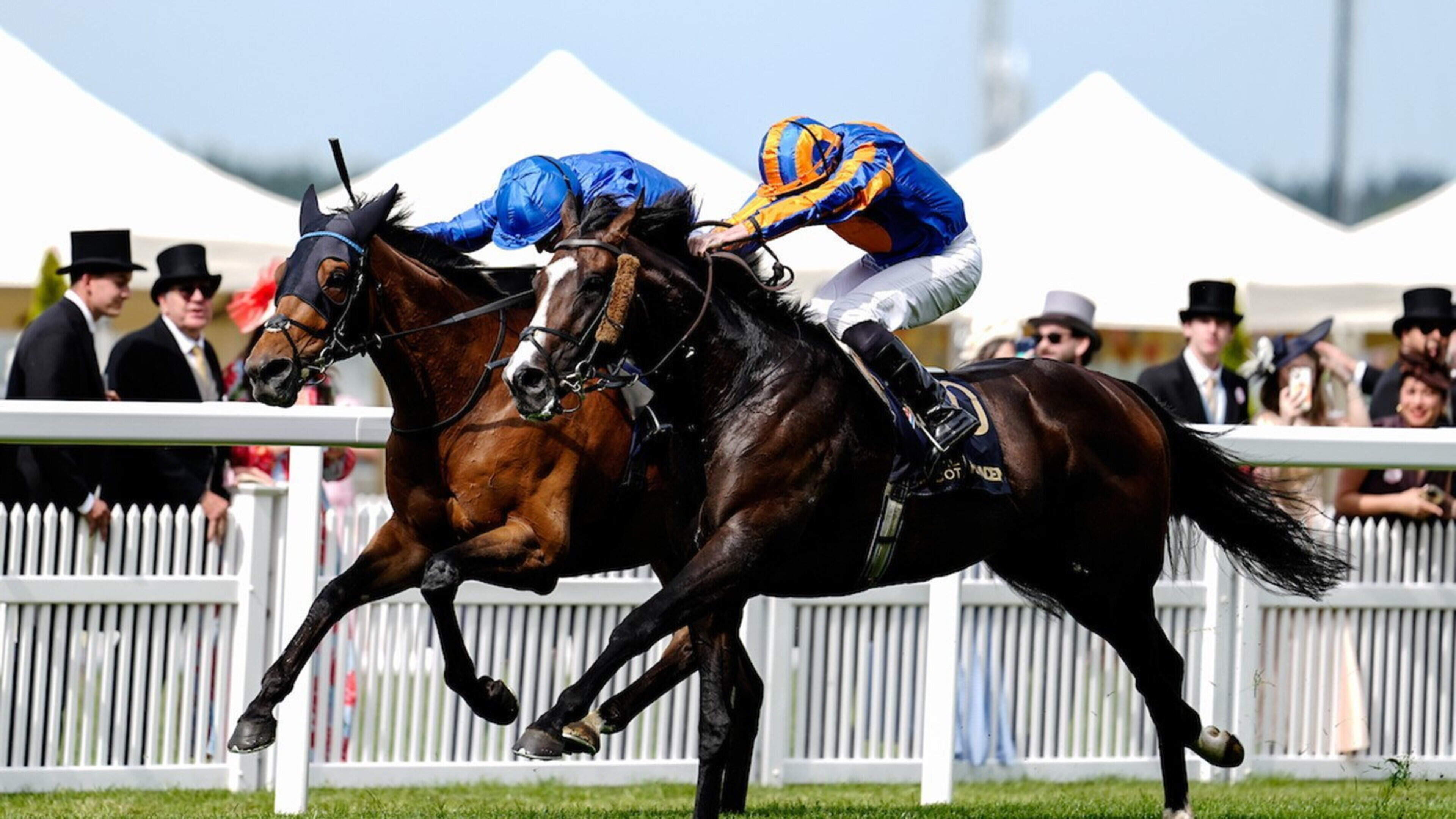 Scandinavia brings up O’Brien century in memorable Gold Cup