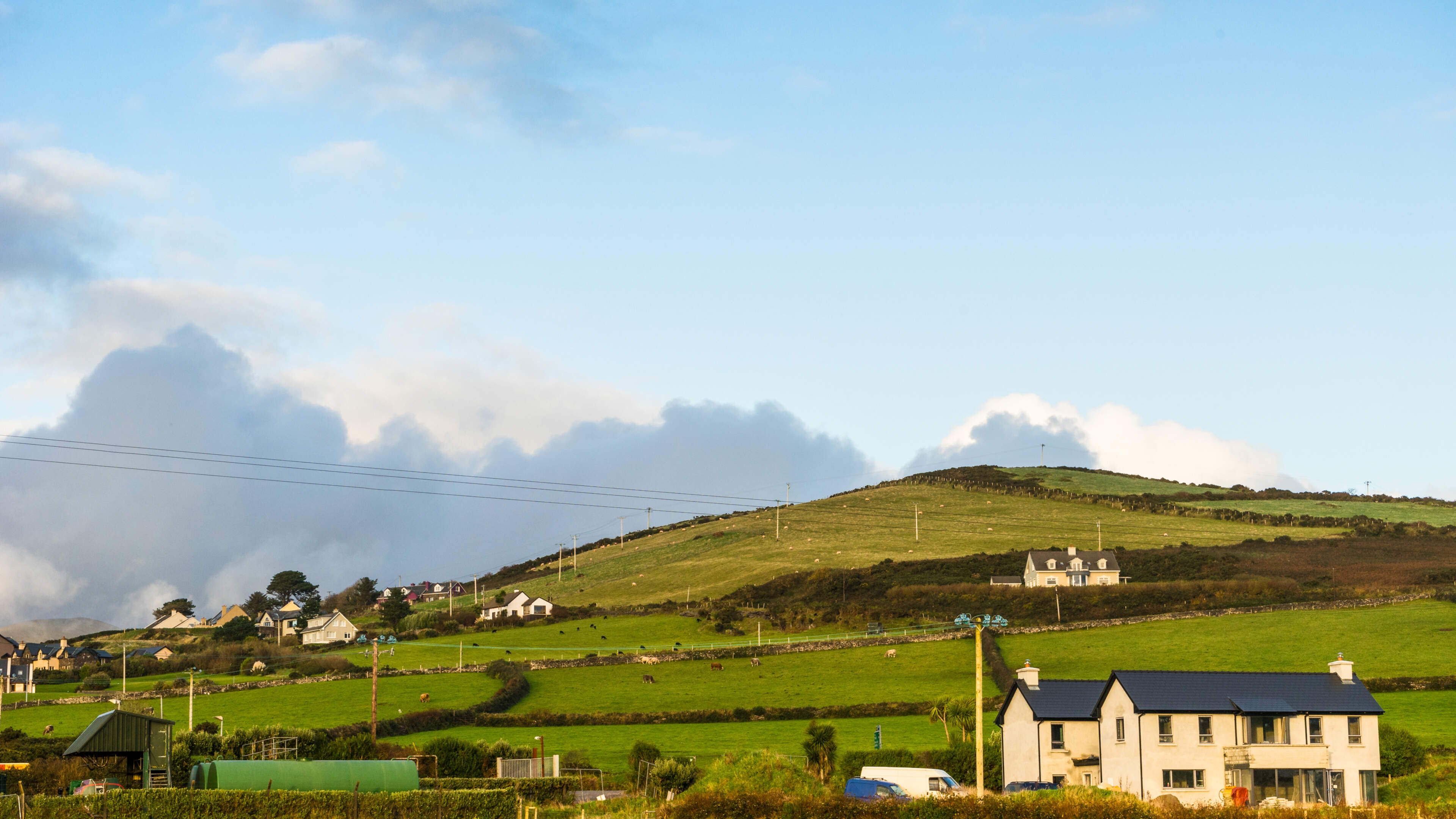 Recipe for community: The ‘right mix’ of housing is key says Kerry councillor after acres of land unlocked