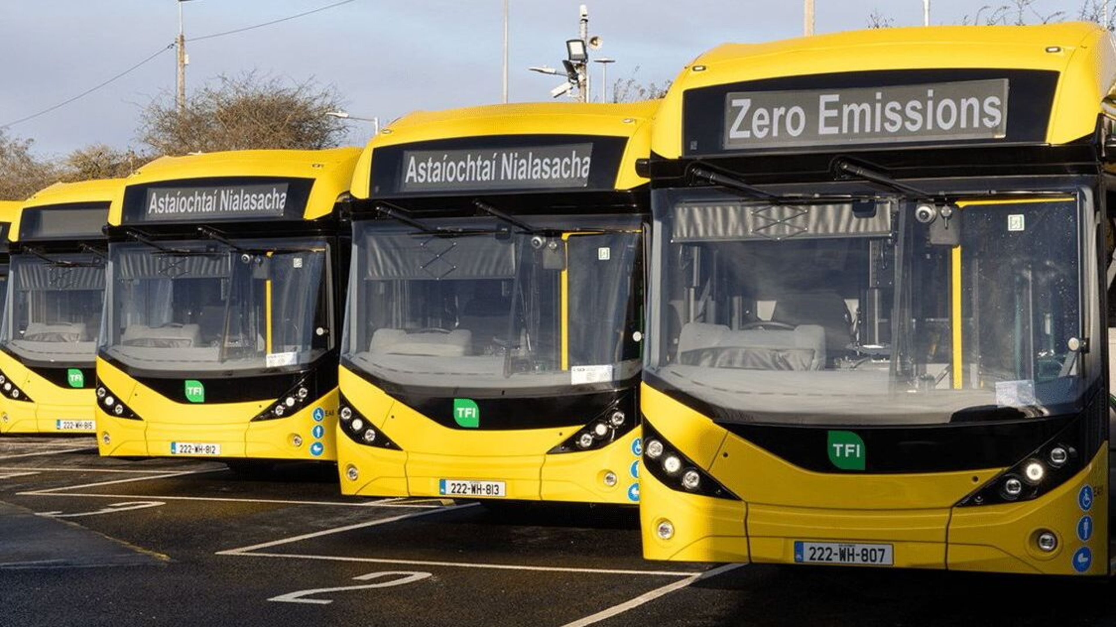 Final bill could top €8m for storing electric buses delayed due to lack of chargers