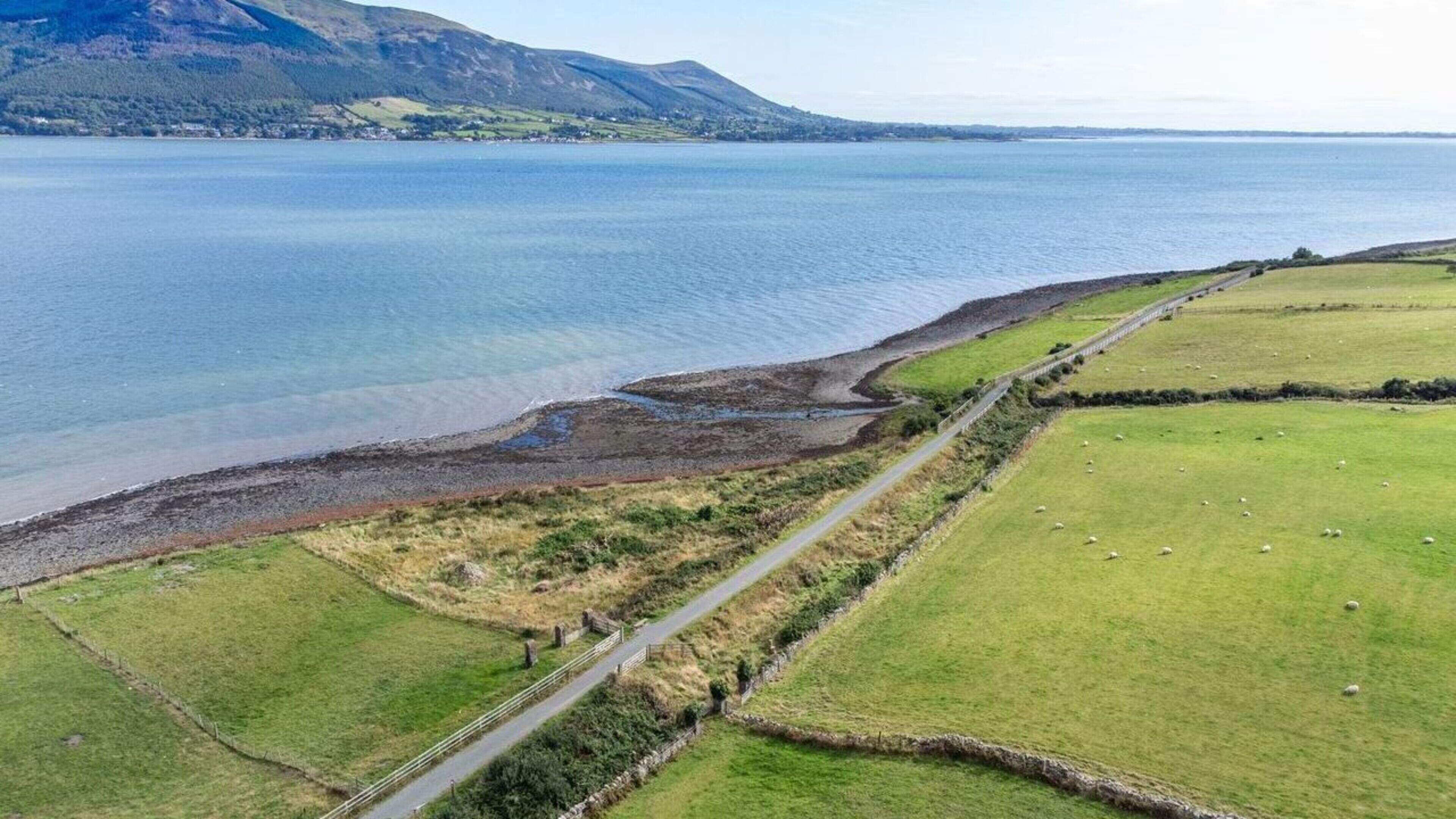 Sheep escaping onto road as gates on Carlingford Greenway repeatedly tied open