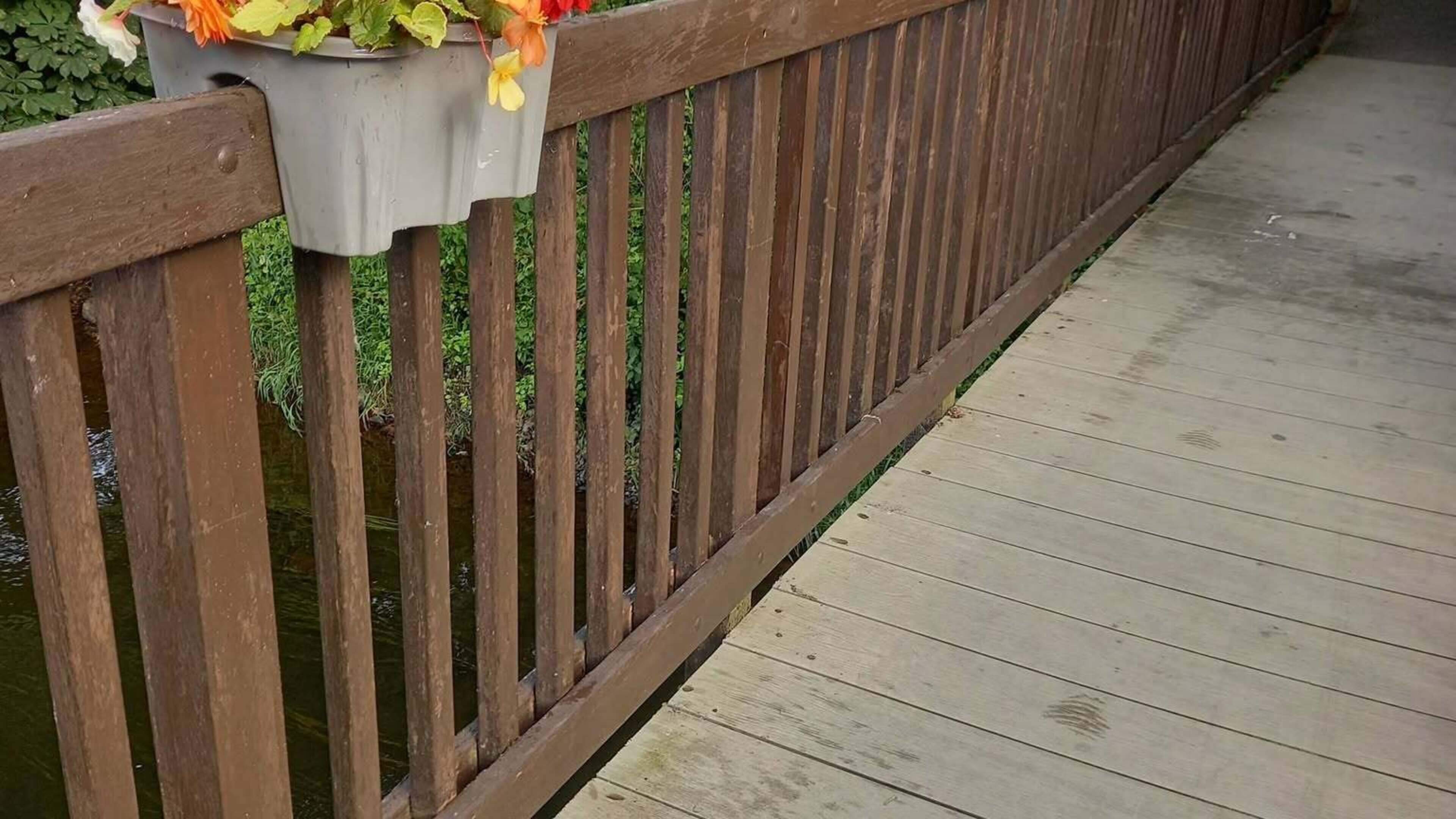 Ardee Tidy Towns condemns vandalism after hanging basket stolen