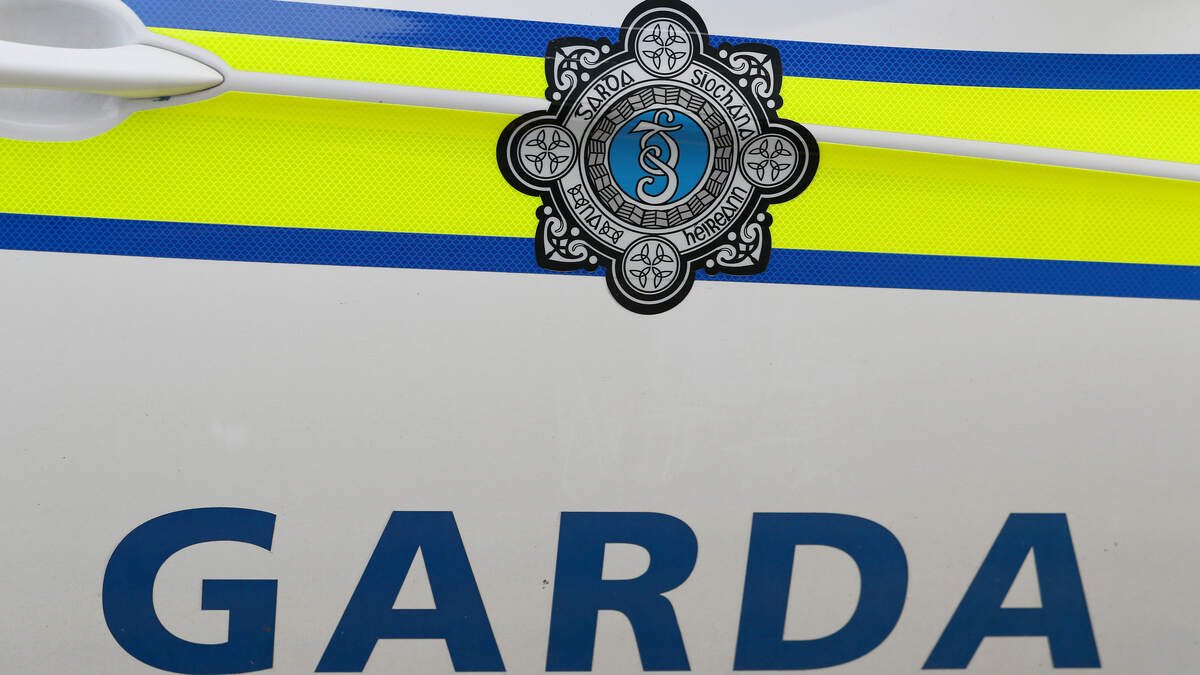Senior garda suspended after alleged sexual assault on woman during overseas work trip