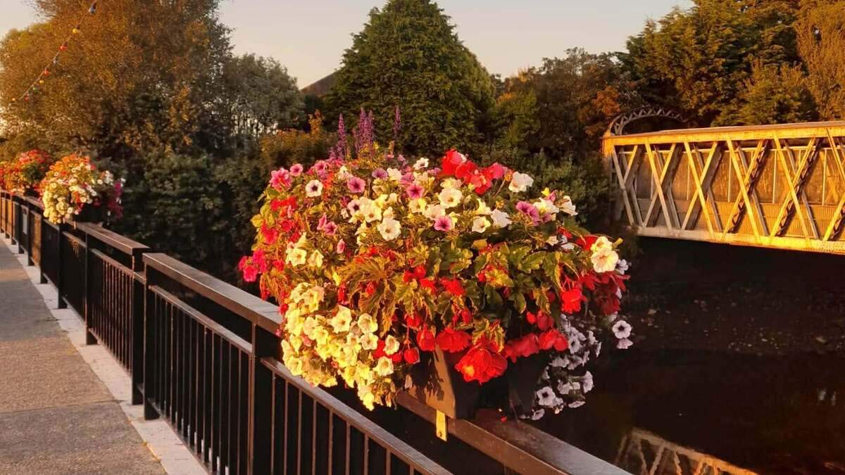 Tidy Towns group heartbroken after latest act of vandalism in West Cork town