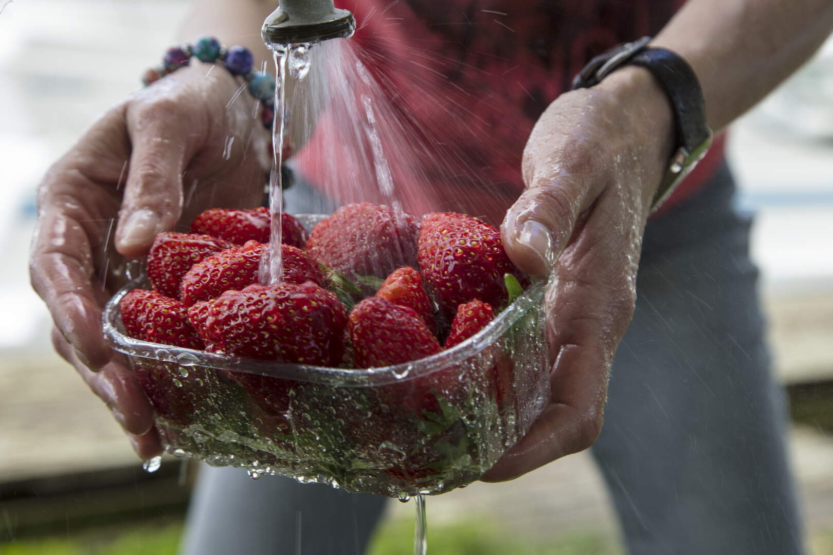 Dublin Conference Highlights Concerns Over EU Pesticide Policies