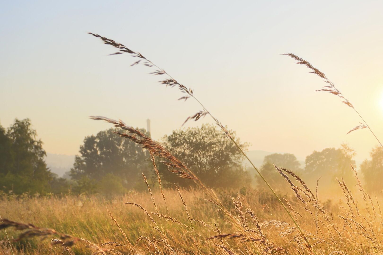 Weather Ireland: More dry days ahead – but Met Éireann says unsettled ...