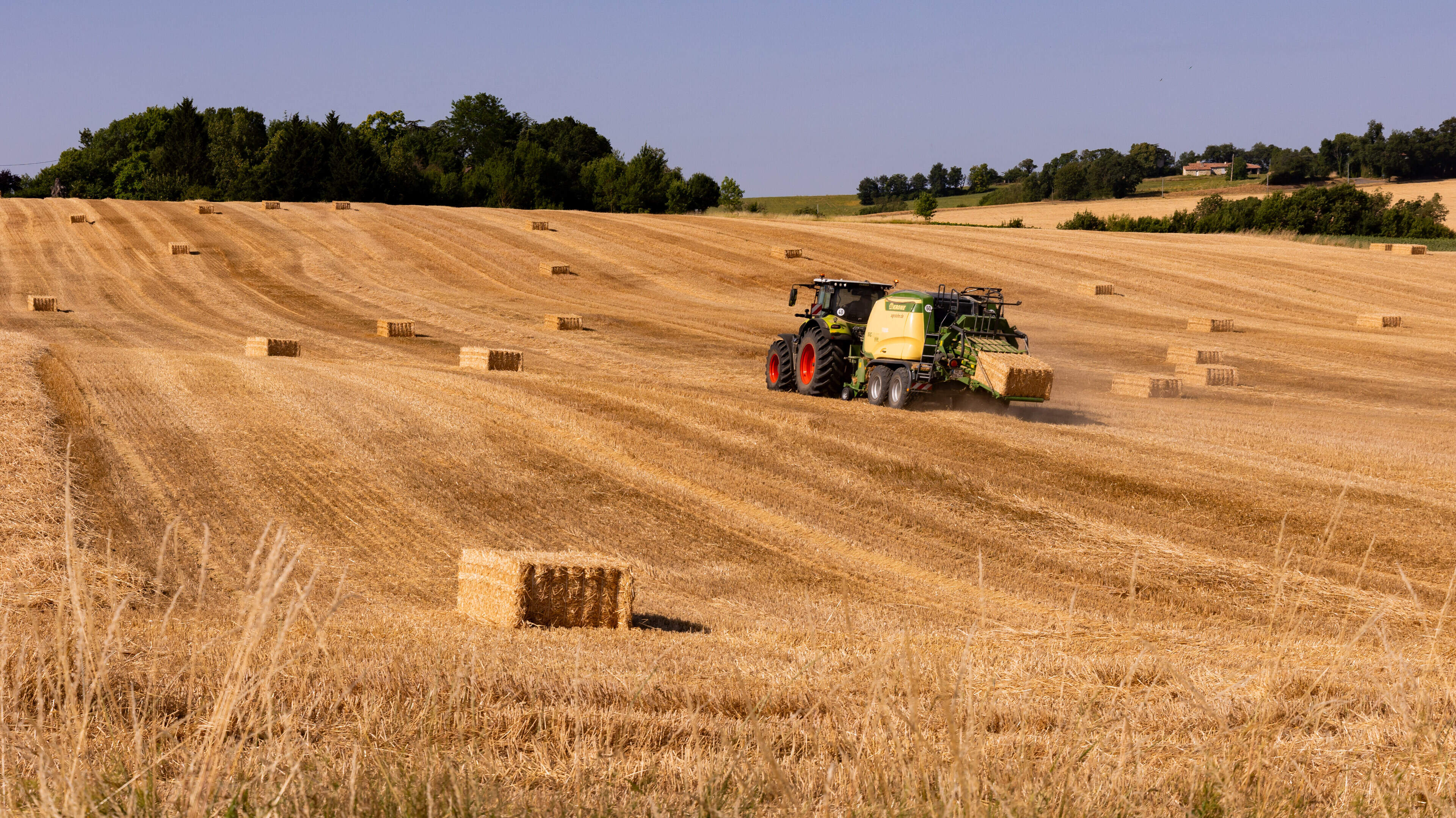 French heat wave may have slashed corn crop by up to a third